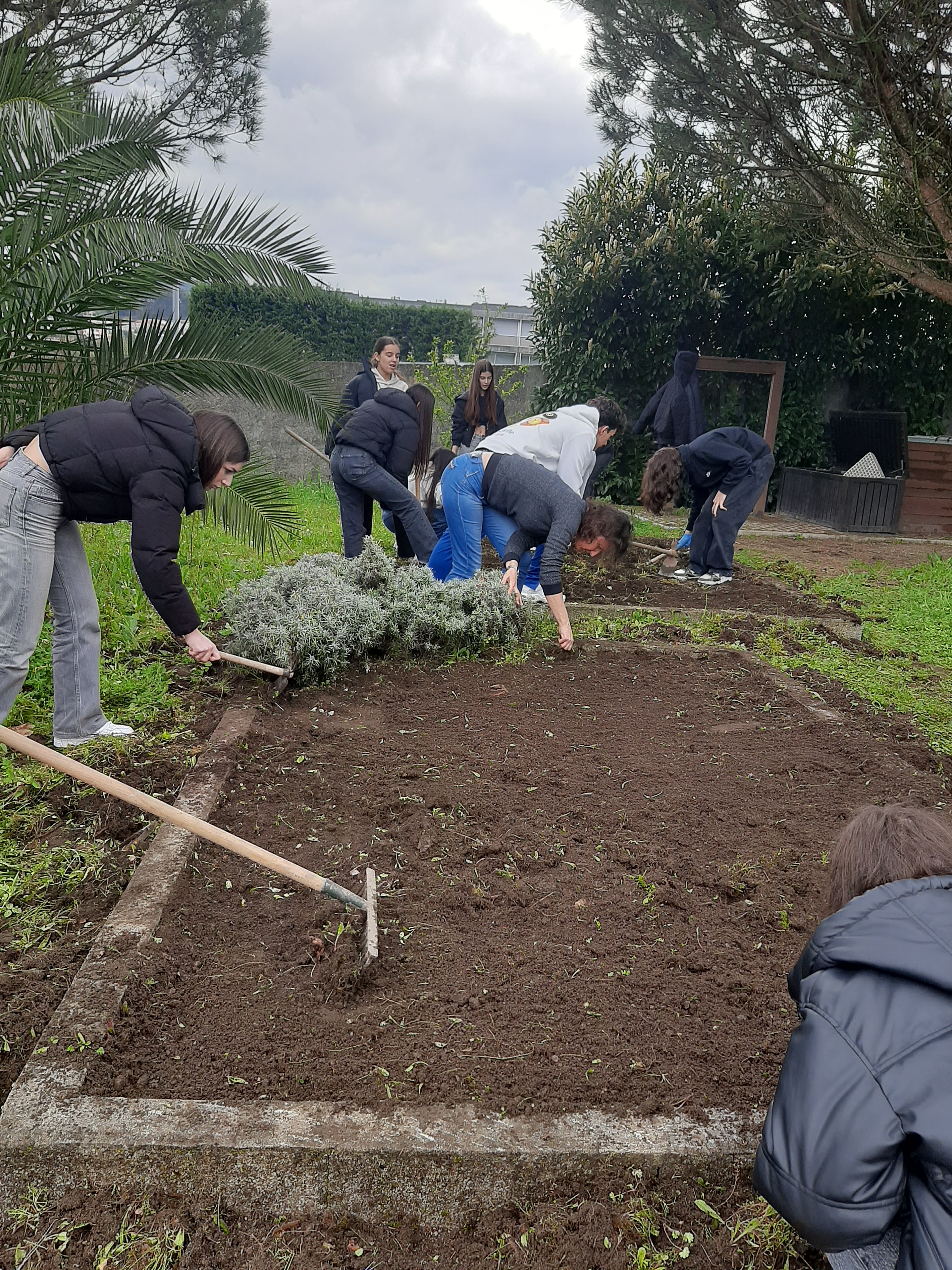 Trabalhos por parte dos alunos do 9º A e respetiva professora de Geografia e Diretora de Turma.