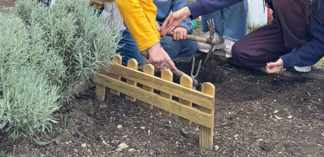 Preparação do canteiro para colocação de plantas.