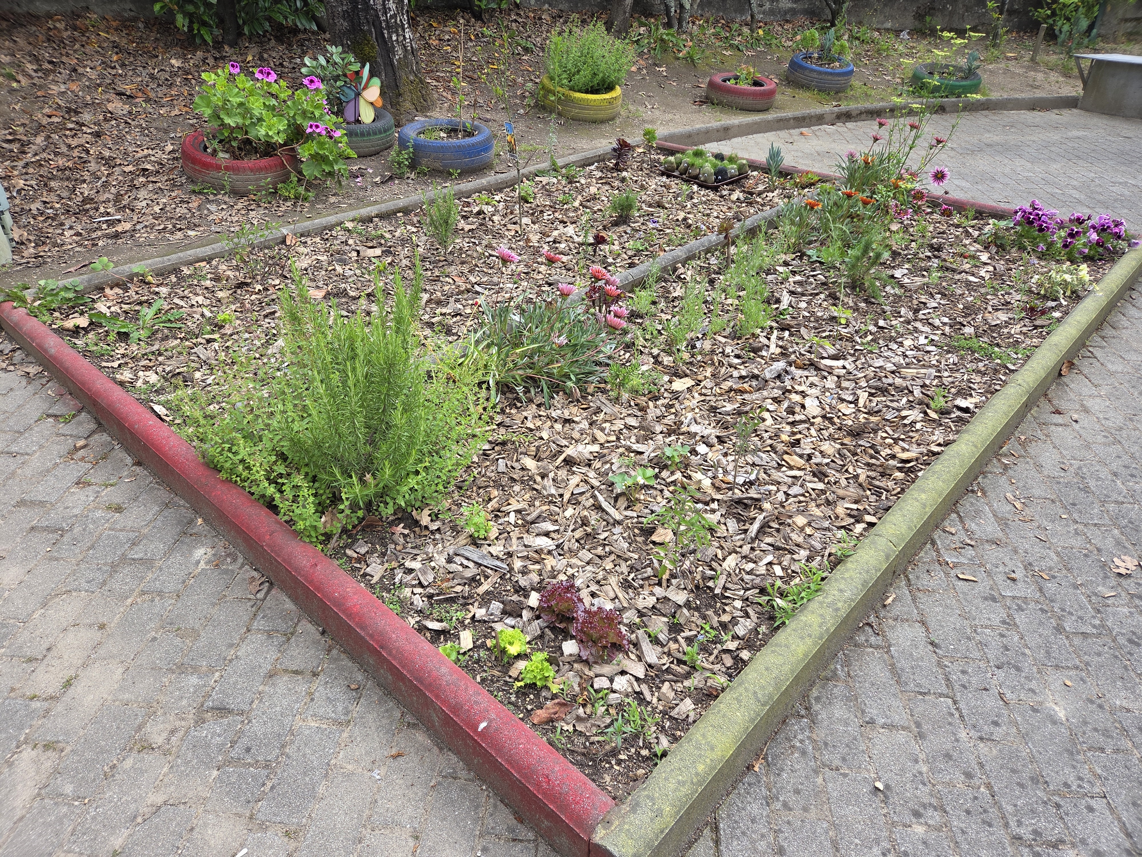 Horta com plantas desenvolvidas e em crescimento avançado.