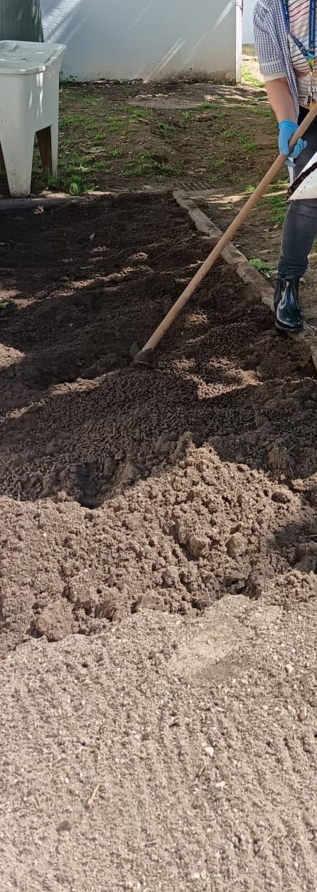 TERRENO LIMPO, PRONTO PARA A SEMENTEIRA
