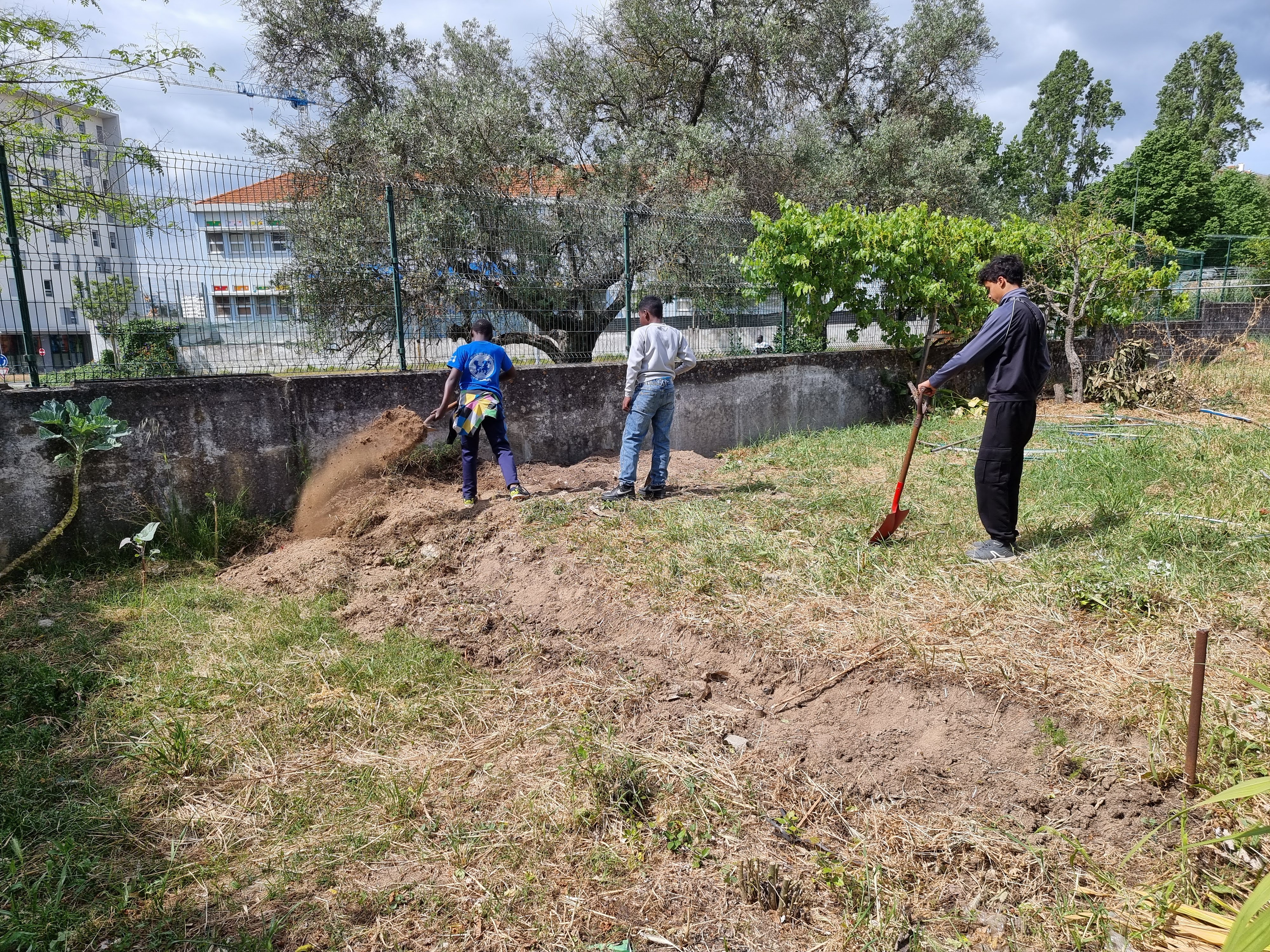PROJETO DE REESTRUTURAÇÃO DO TERRENO PEDAGÓGICO - Reconstrução da estufa - nivelamento do terreno para construção da nova estrutura