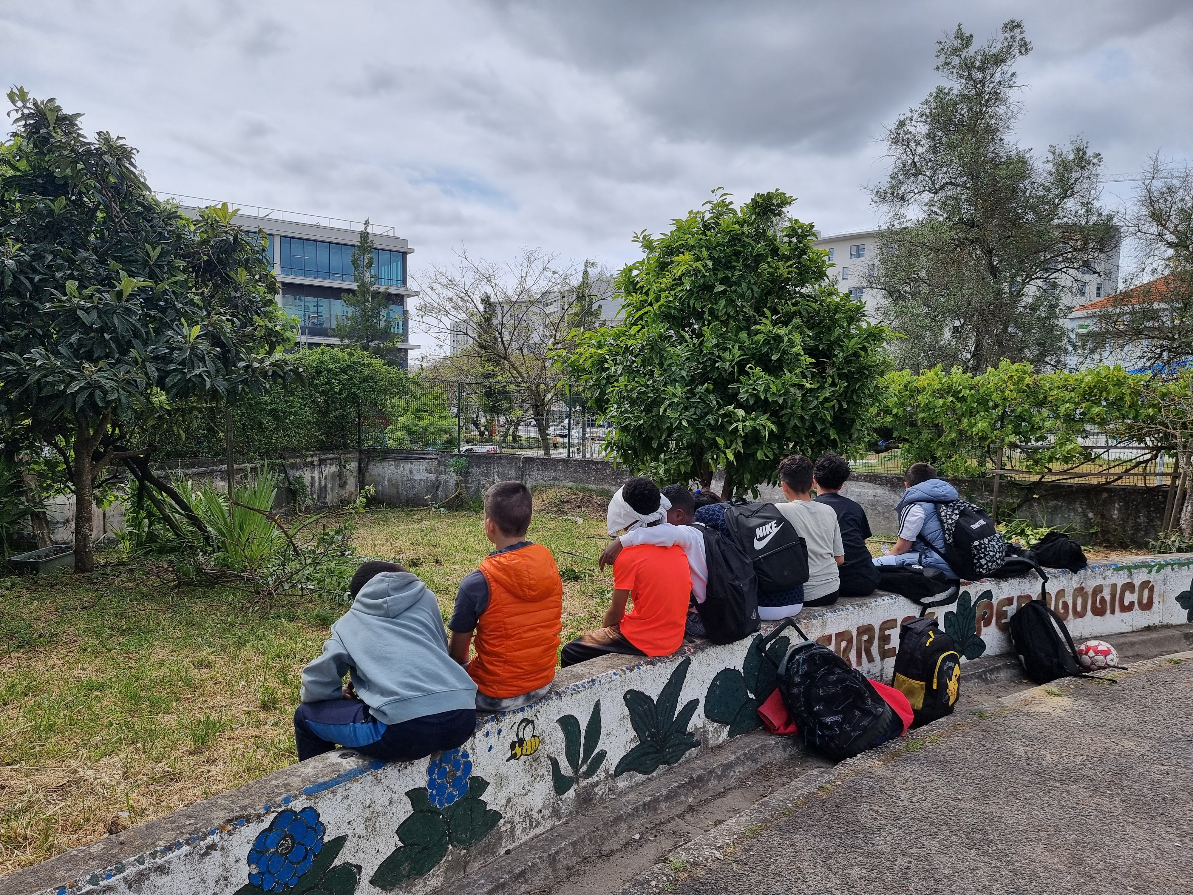 PROJETO DE REESTRUTURAÇÃO DO TERRENO PEDAGÓGICO - Reconstrução da estufa - nivelamento do terreno para construção da nova estrutura