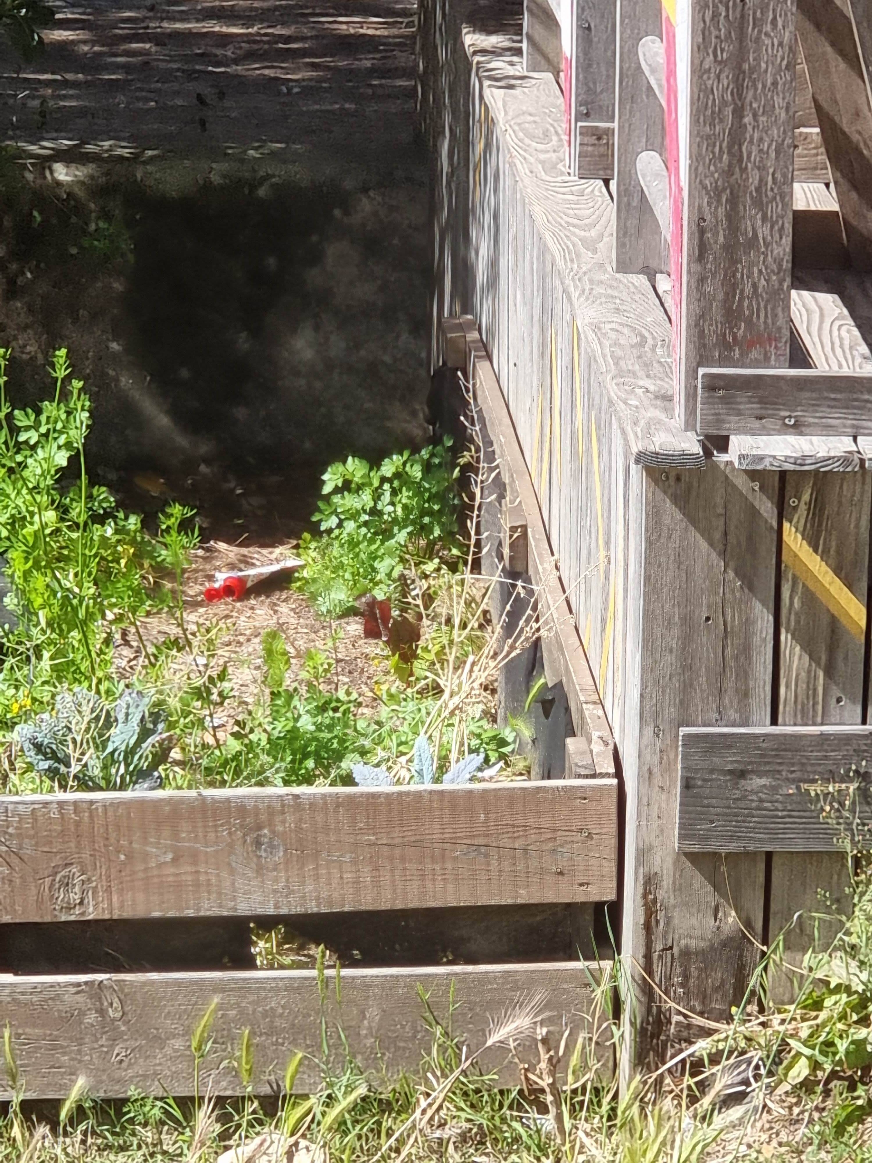 Reparação da estrutura de madeira das caixas dos hortícolas