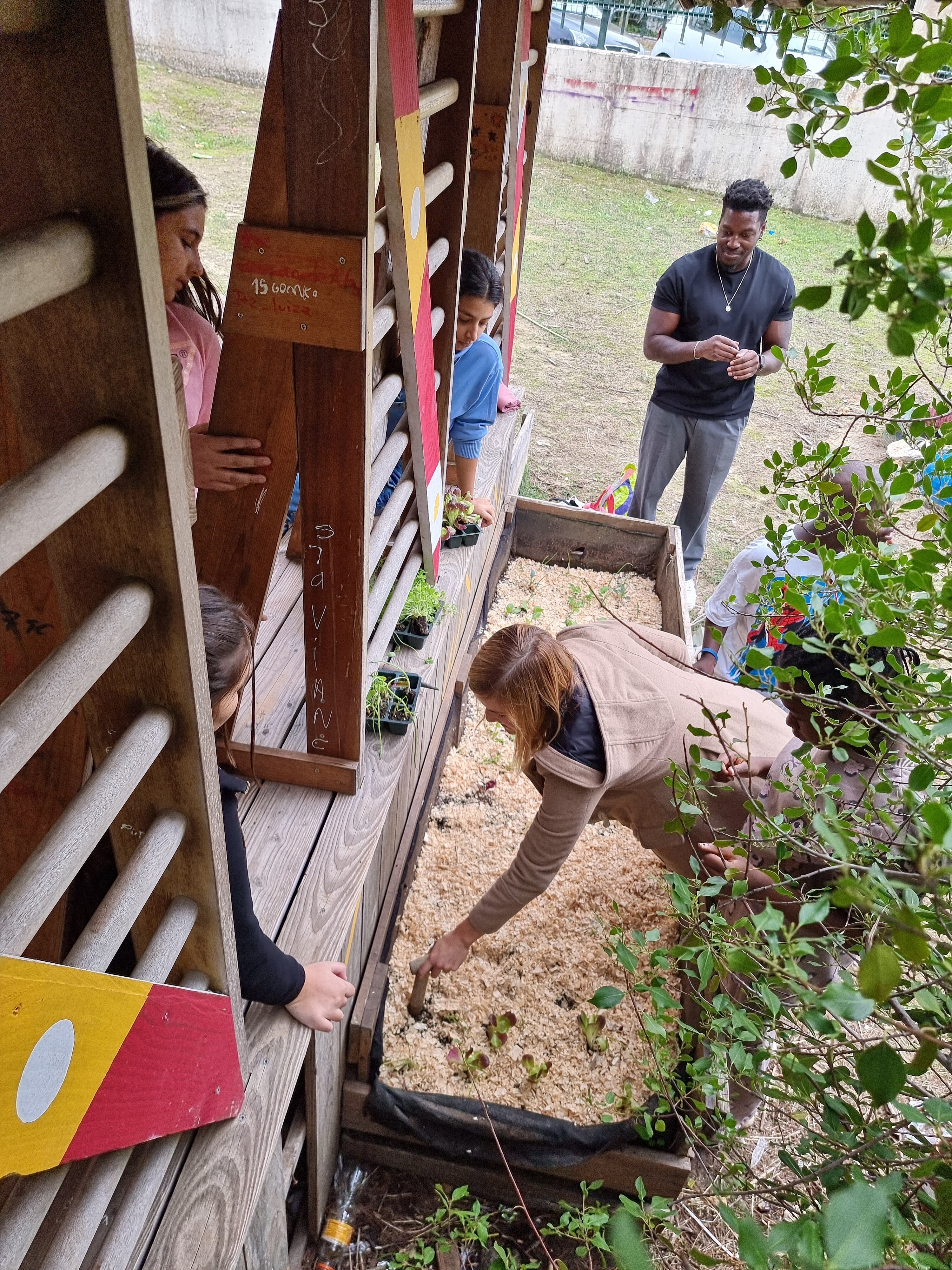 Aplicação de serradura nas caixas dos hortícolas para inibição de crescimento de plantas consideradas daninhas, bem como para melhorar conservação de água