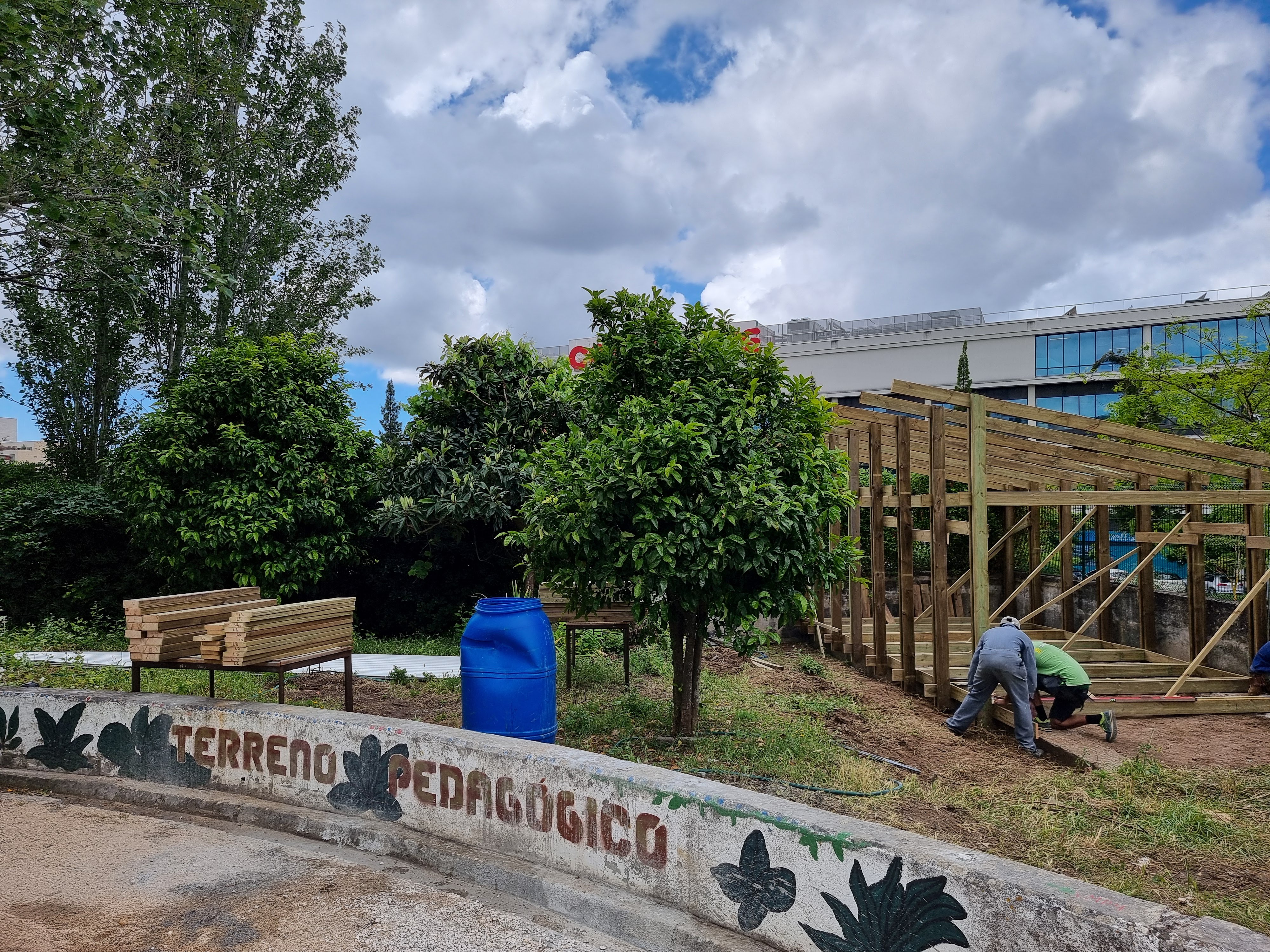 PROJETO DE REESTRUTURAÇÃO DO TERRENO PEDAGÓGICO - Reconstrução da estufa - Professores e parceiros na montagem da base da nova estufa