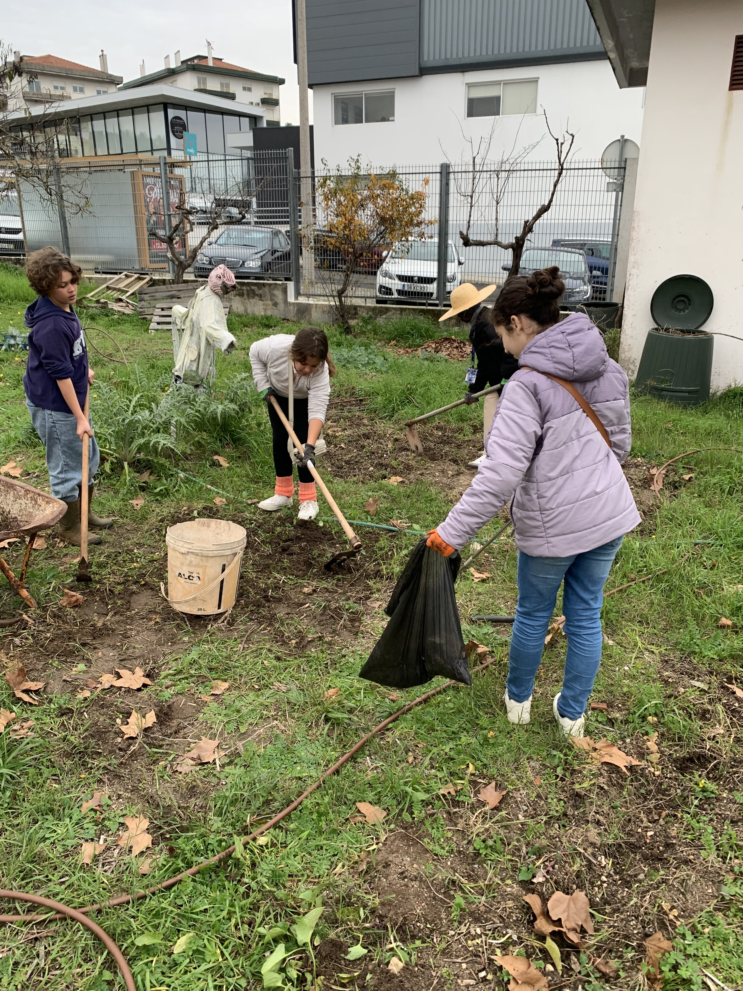 Mobilização do solo, arranque de infestantes e recolha do lixo.