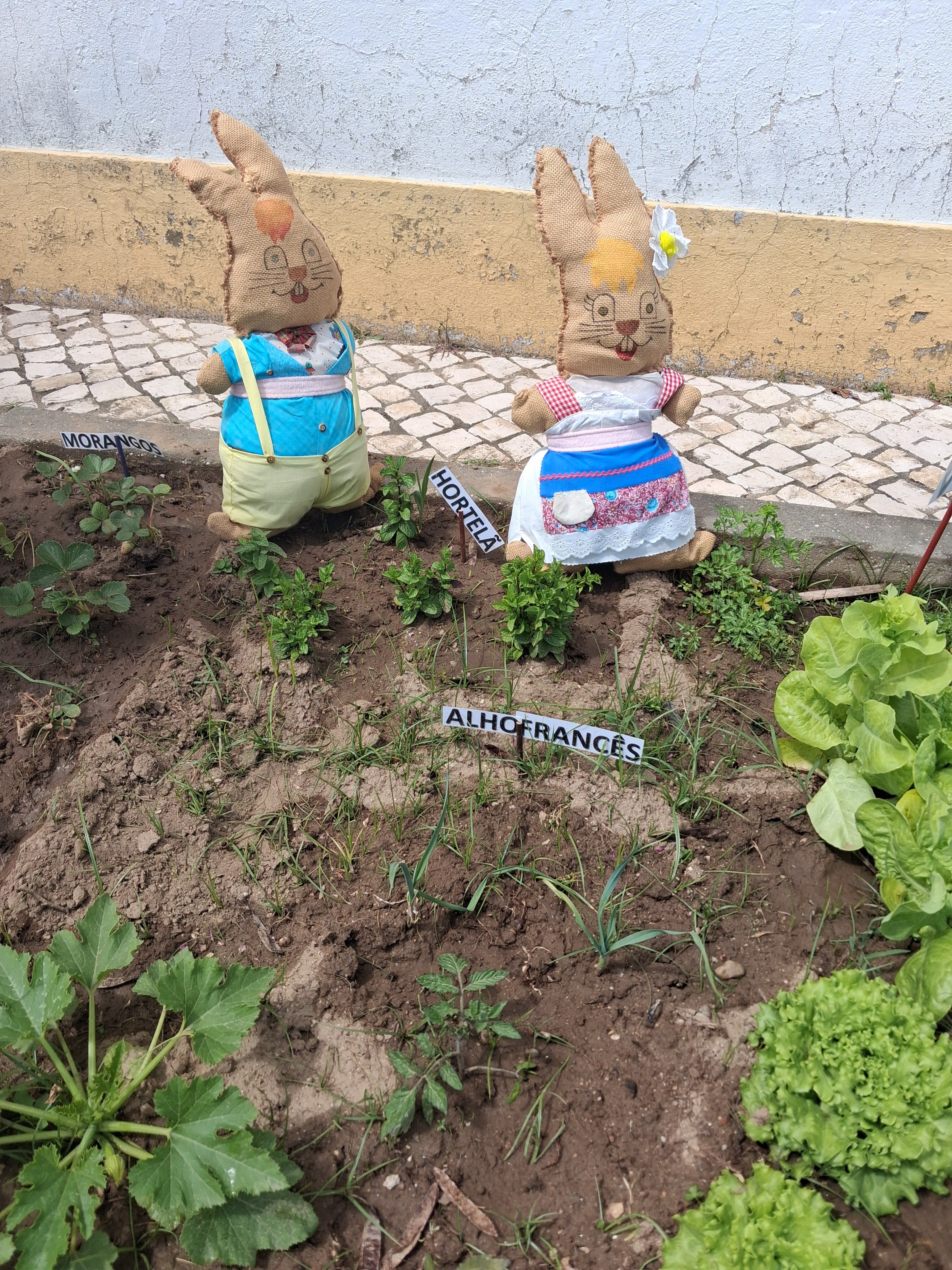 Os coelhinhos tomam conta da horta