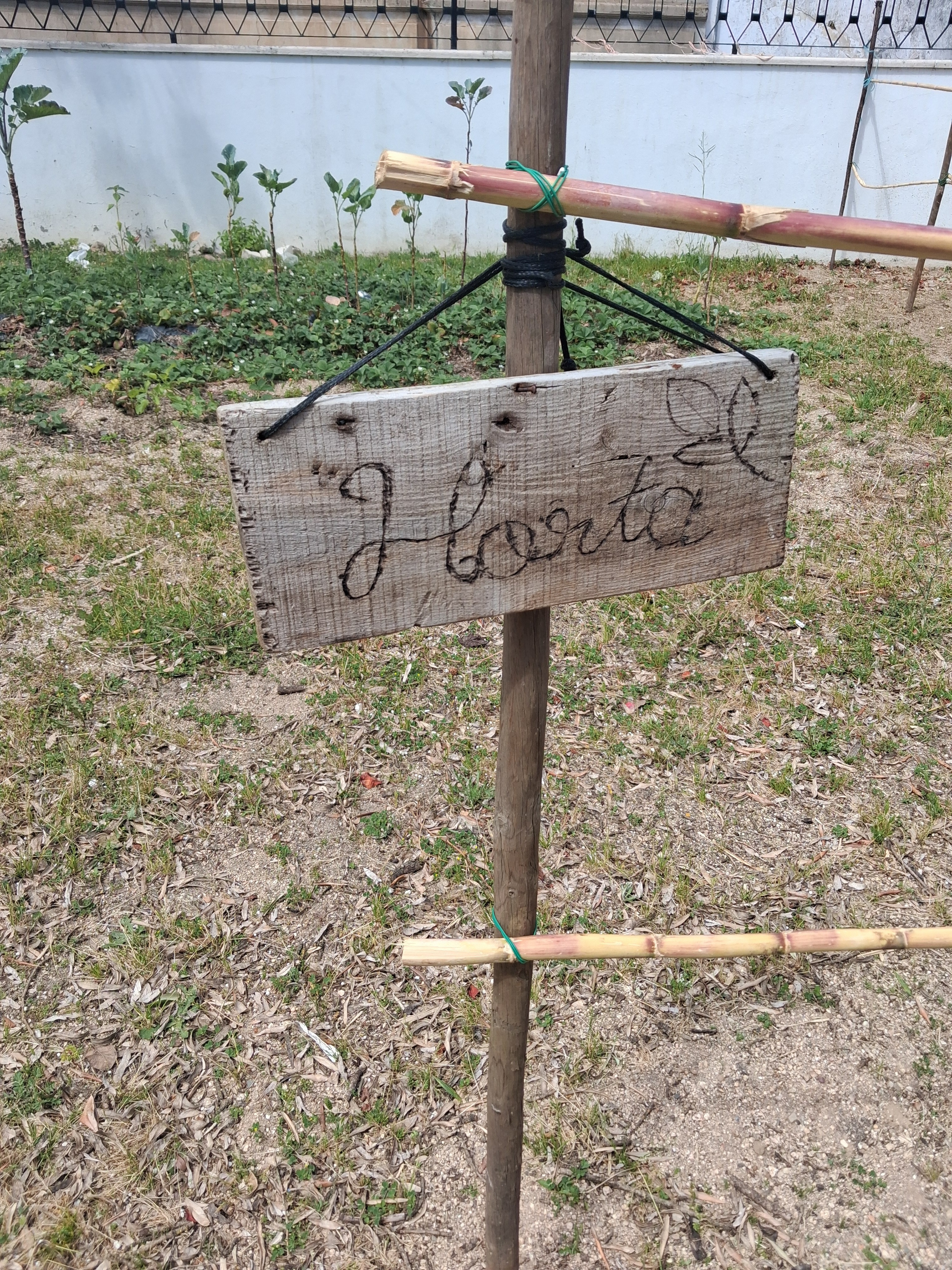 Identificação da horta