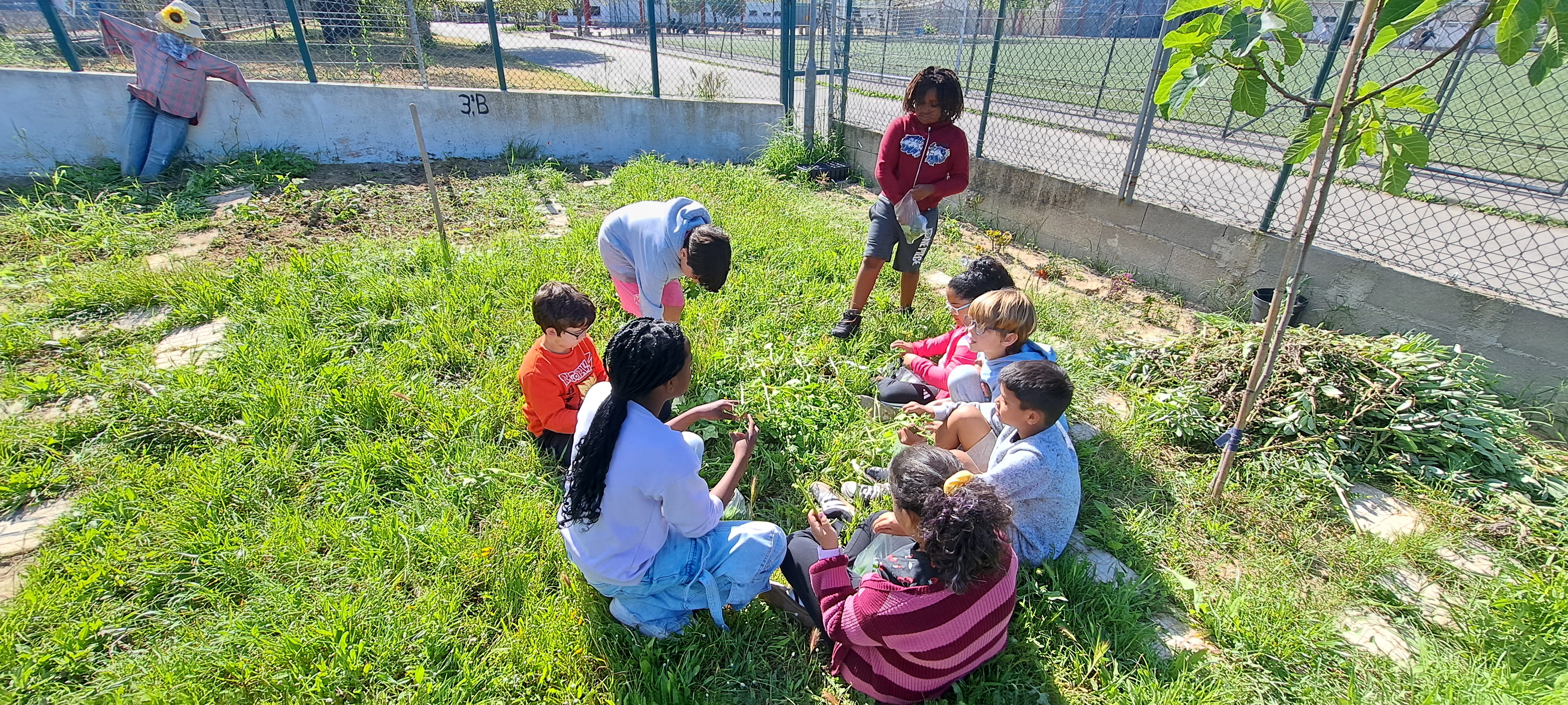 Colheita e preparação de espinafres selvagens.