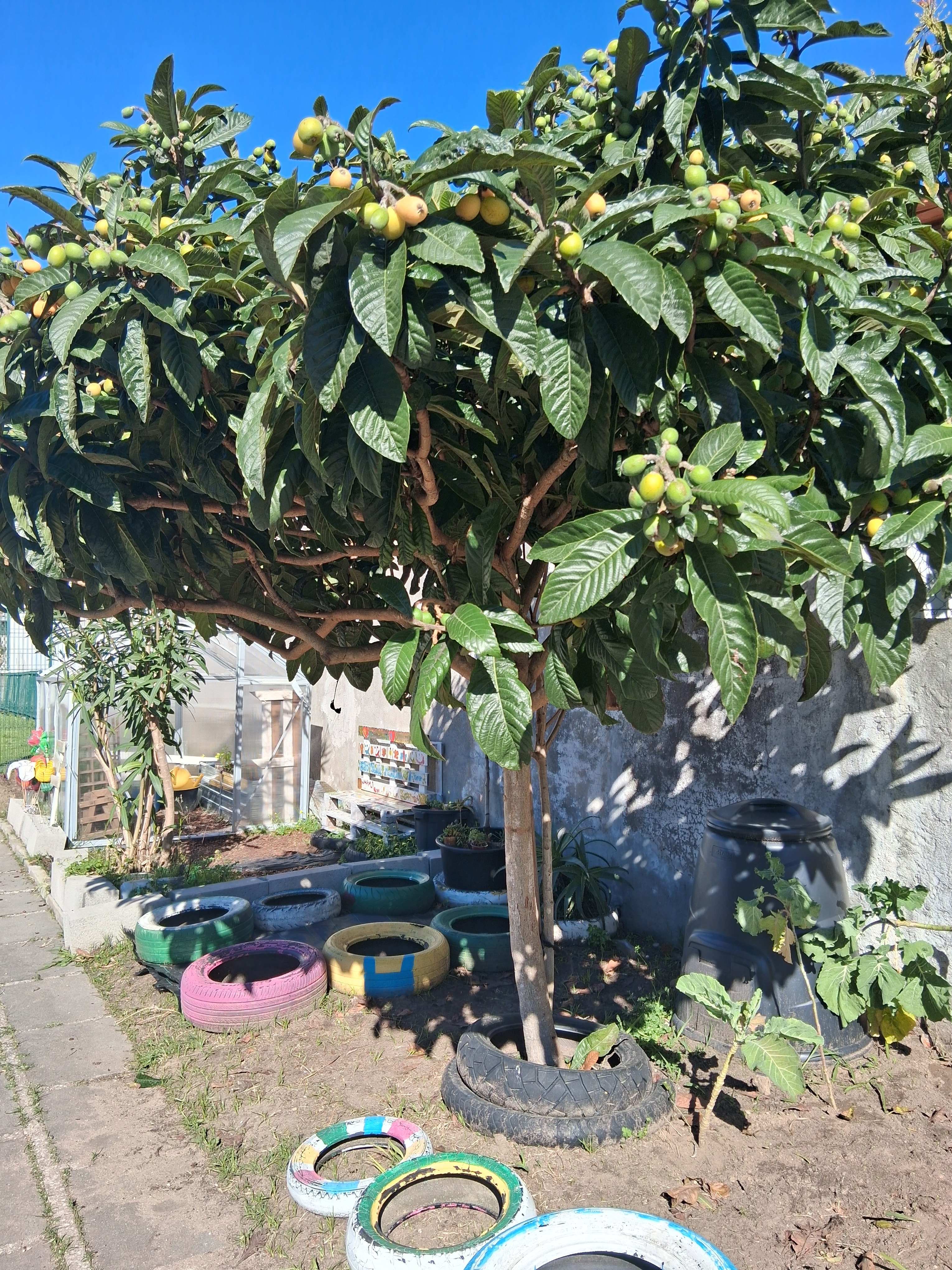 Espaço horta-bio e estufa