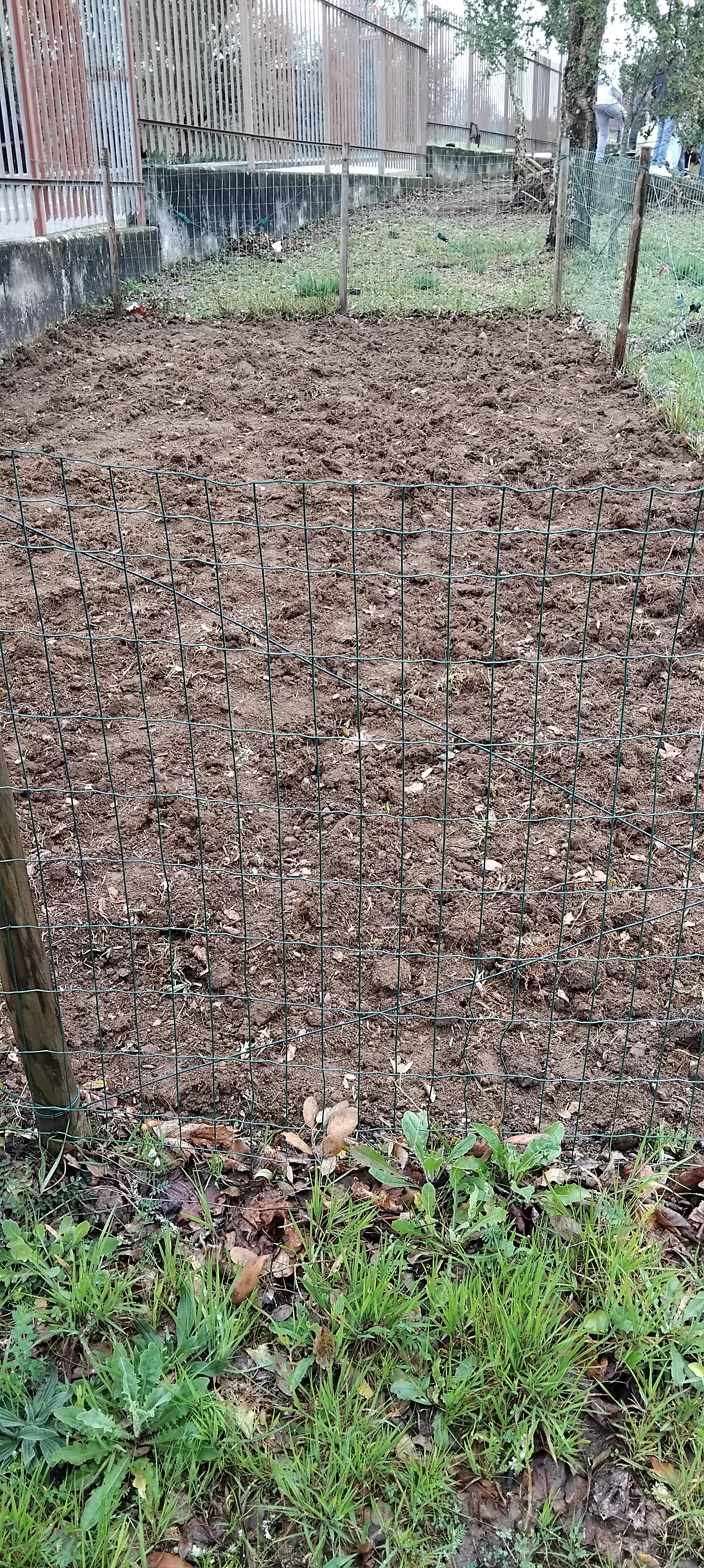 Preparação do canteiro.