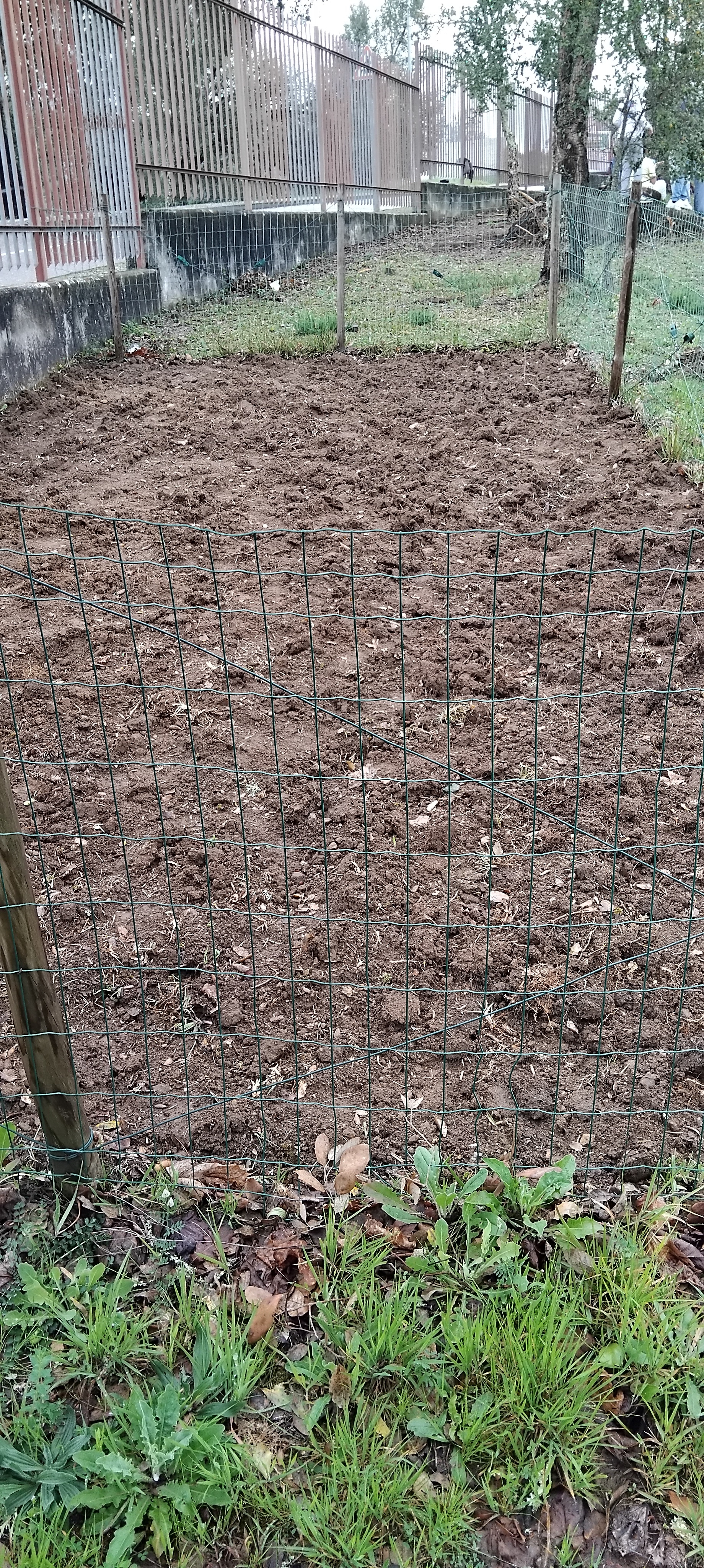 Preparação do canteiro.