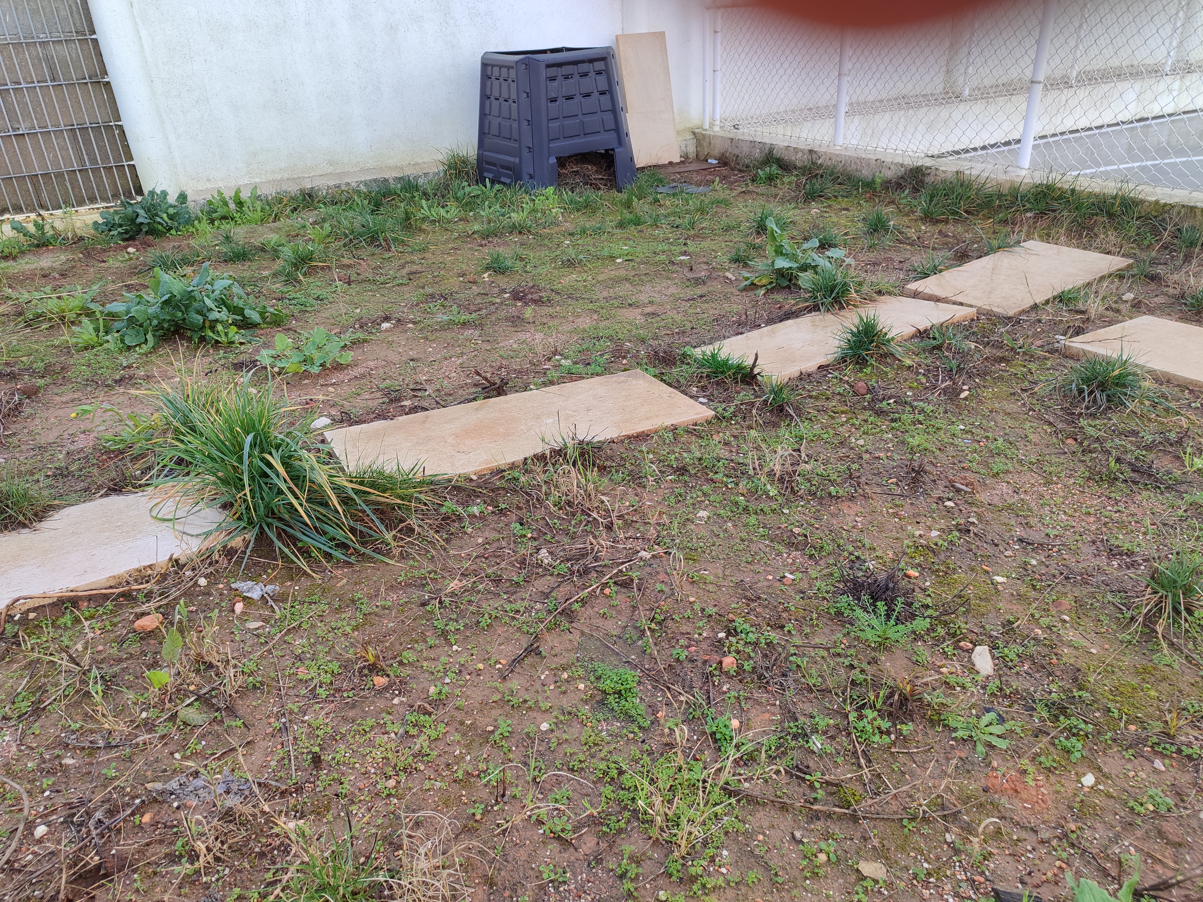 Observação do espaço onde se fará a sementeira e a sua planificação.