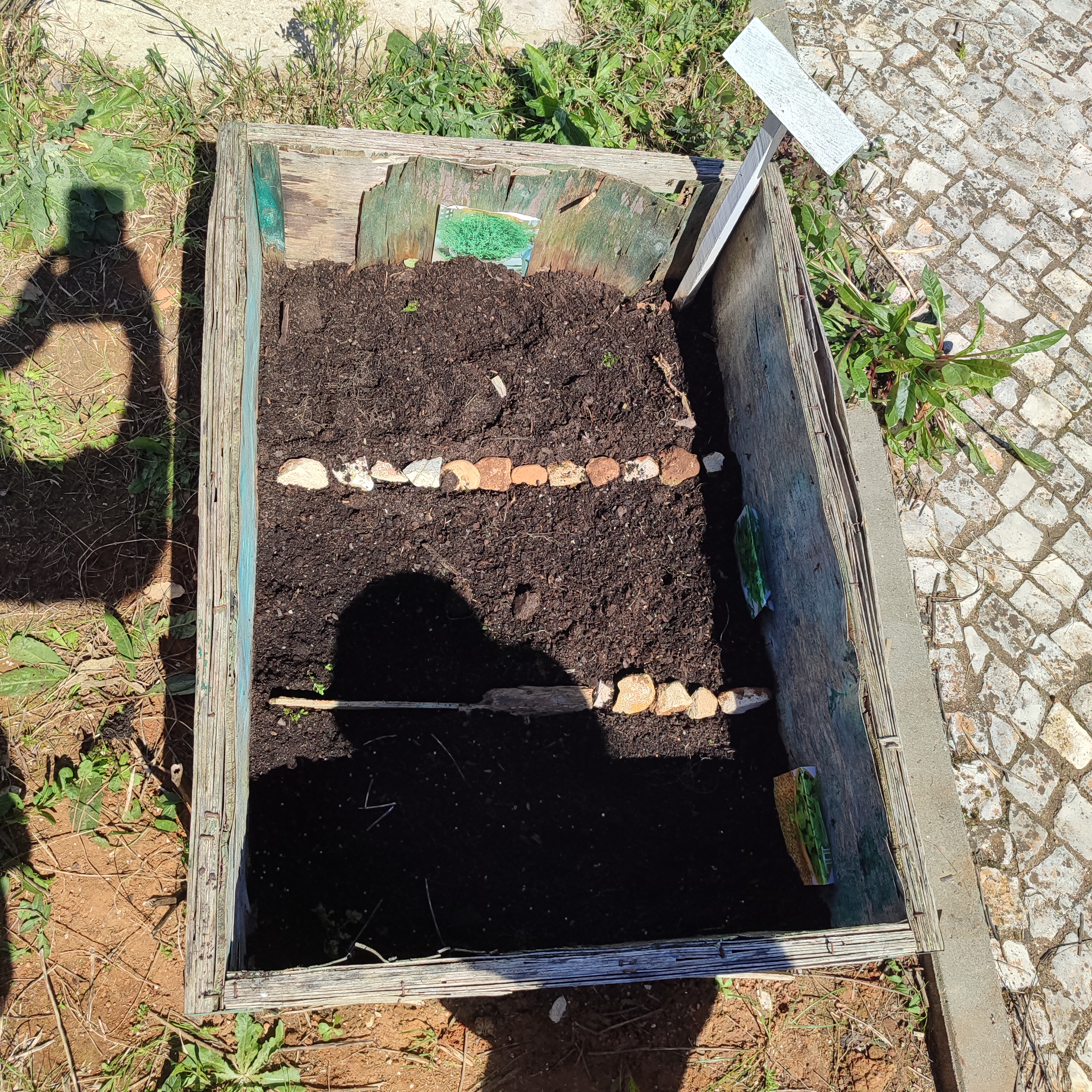 Identificação das sementes nas placas de madeira.