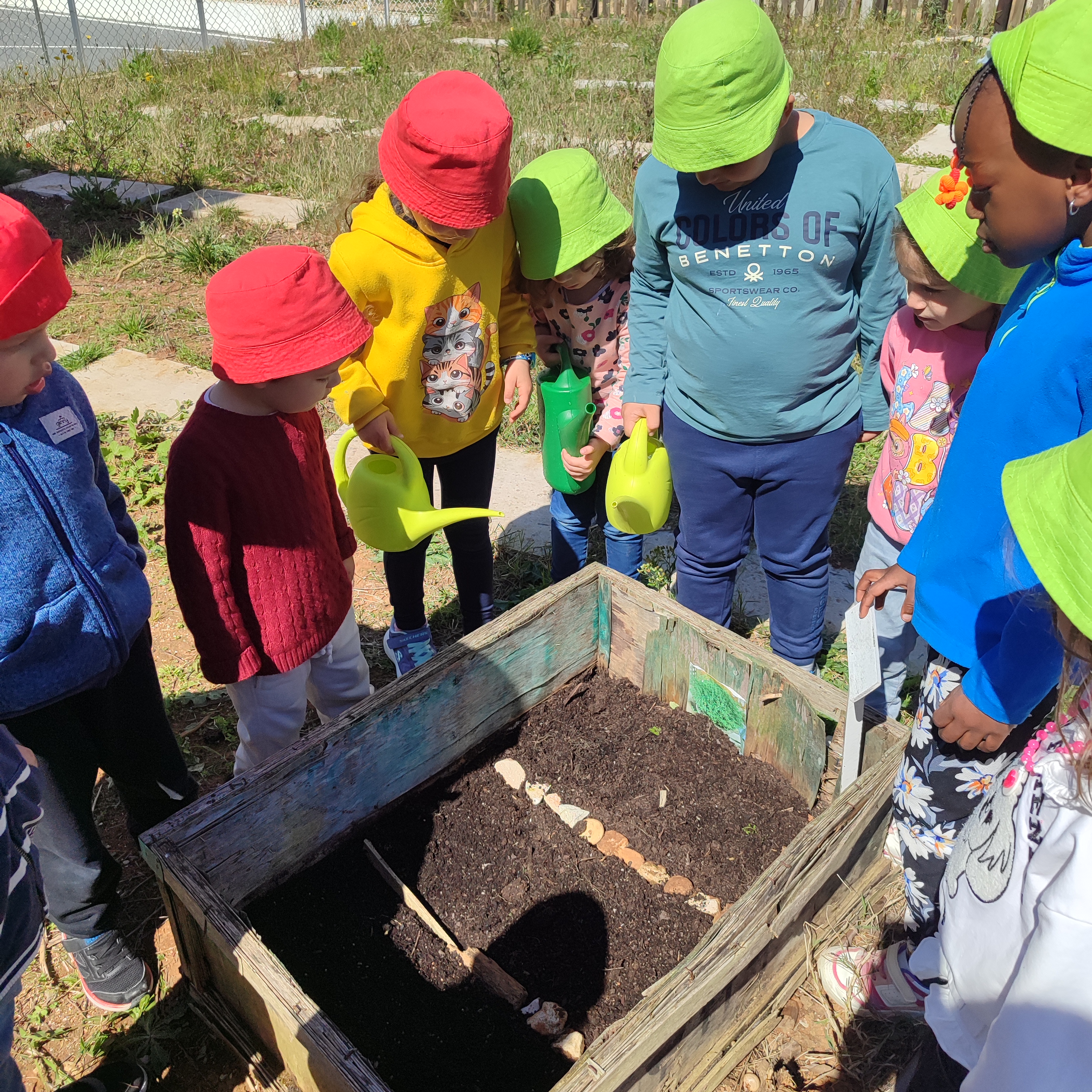Humedecer a terra com apenas algumas gotinhas  de água.
Esperar que as sementes germinem e se observe a próxima fase da nossa horta.