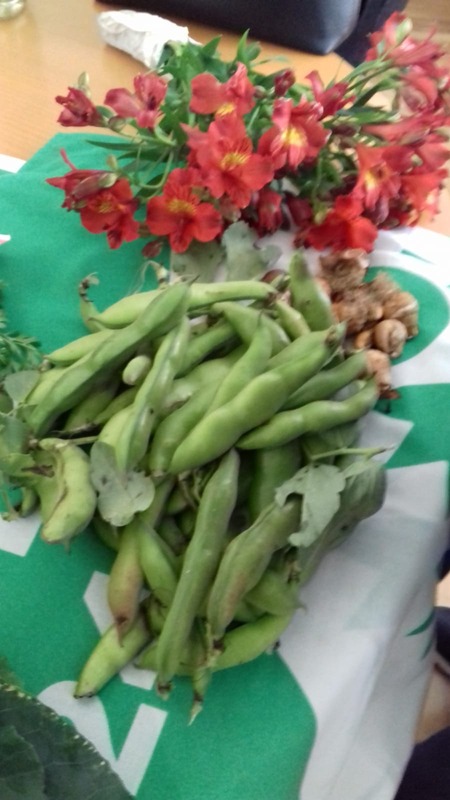 Favas prontas para serem consumidas