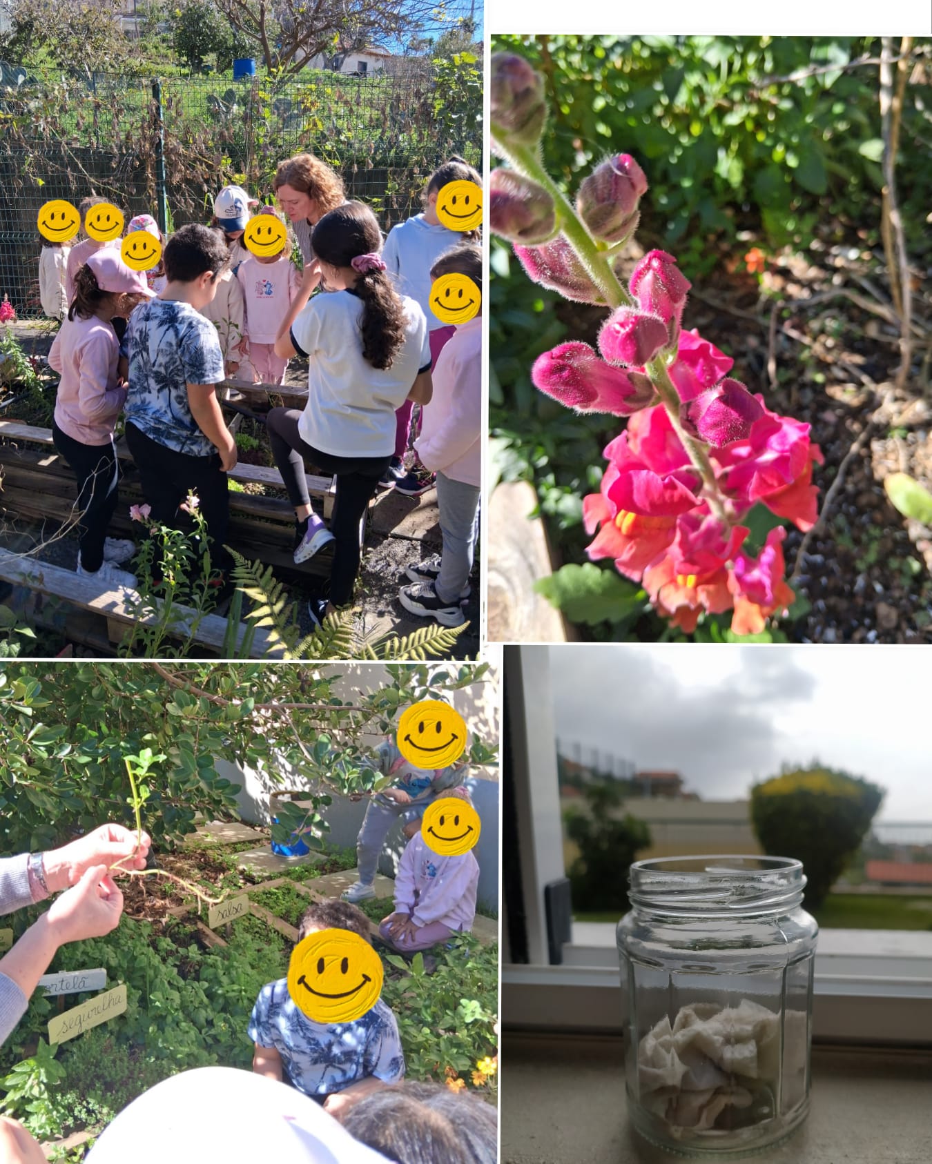 Também já conseguimos vislumbrar os efeitos do nosso Jardim de Polinizadores!