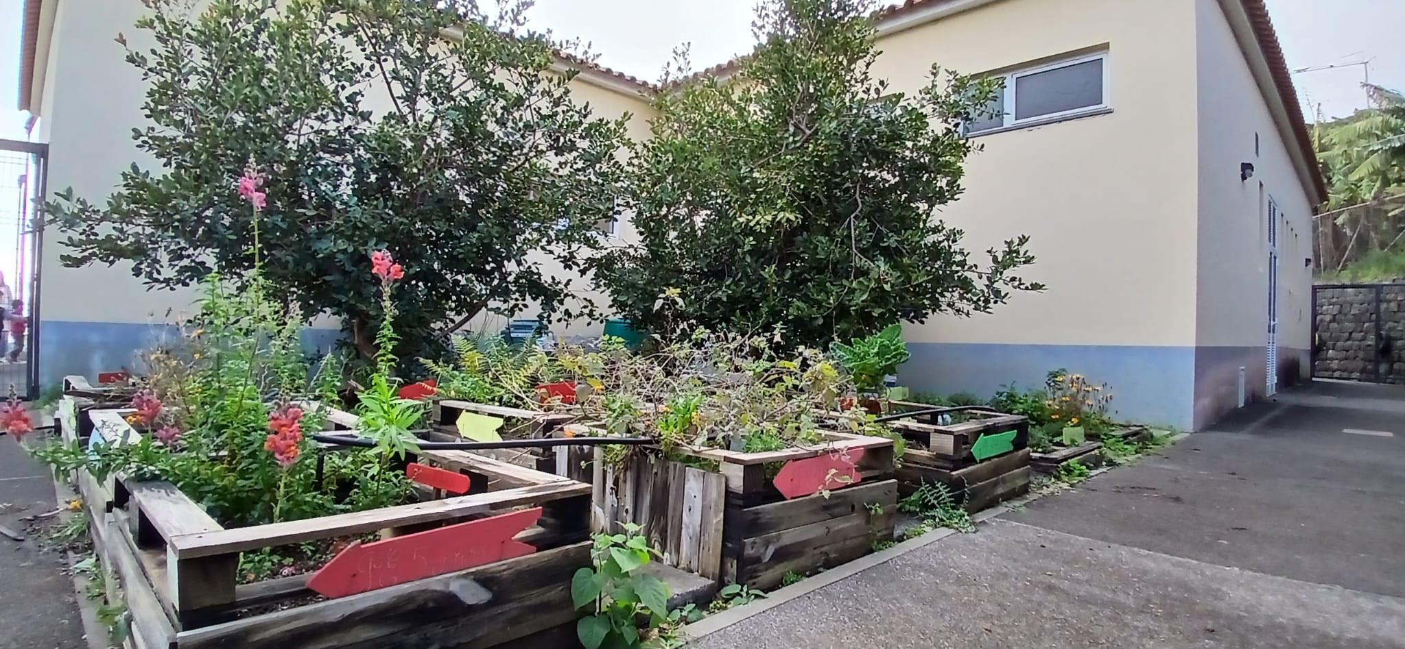 Vista geral da Horta Biológica.