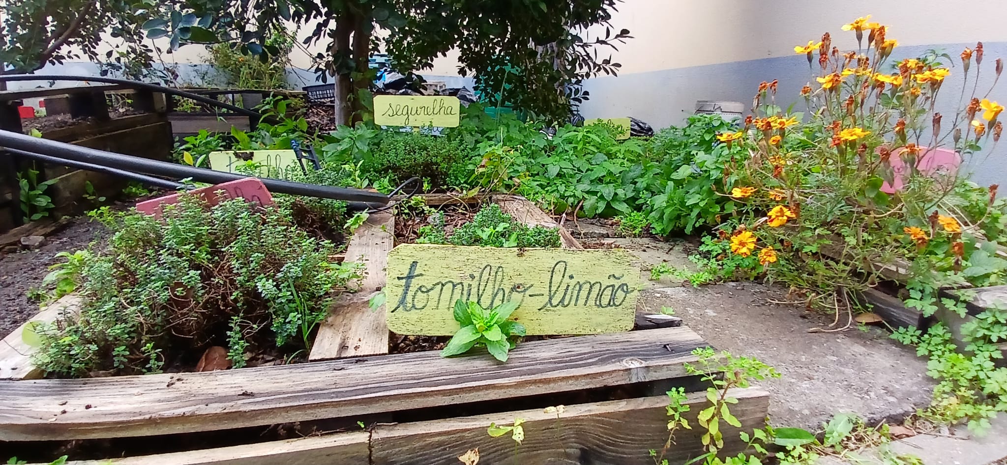As primeiras sementeiras já evidenciam resultados!