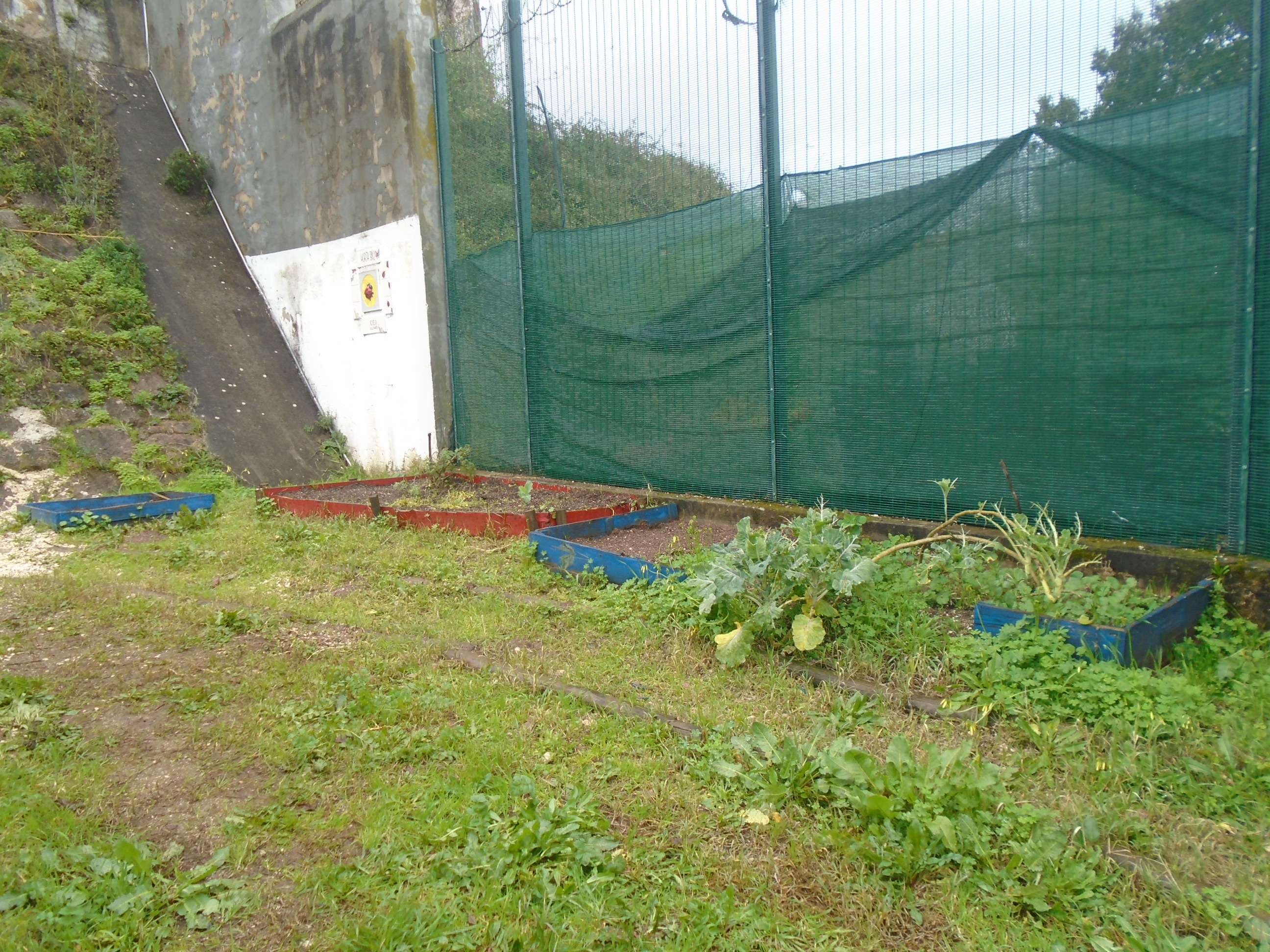 Fotografia 1 – Local a intervencionar, tendo como objetivo a criação de um canteiro com área superior aos atualmente existentes.