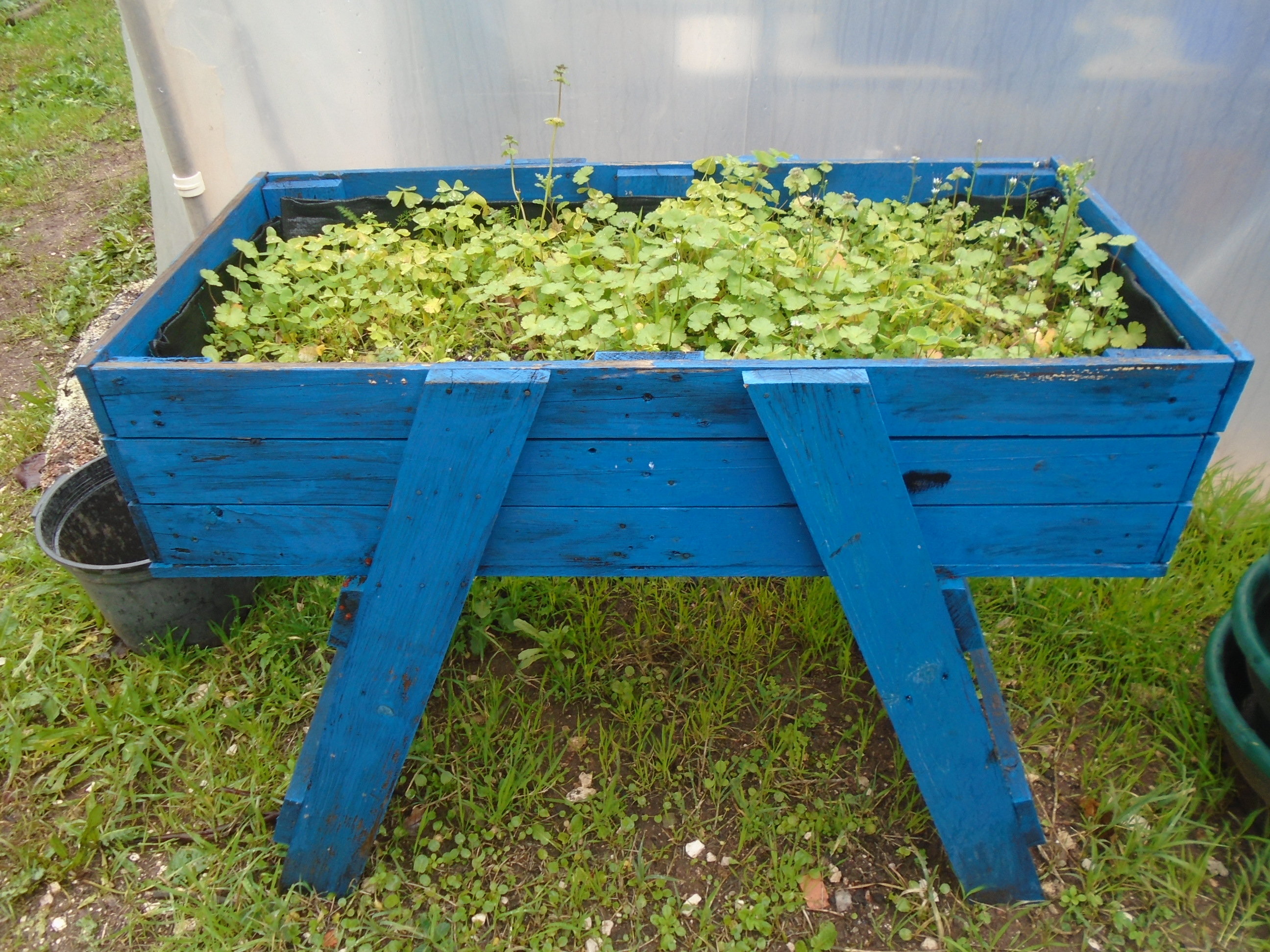 Fotografia 4 – Canteiro sobrelevado para sementeiras de plantas condimentares