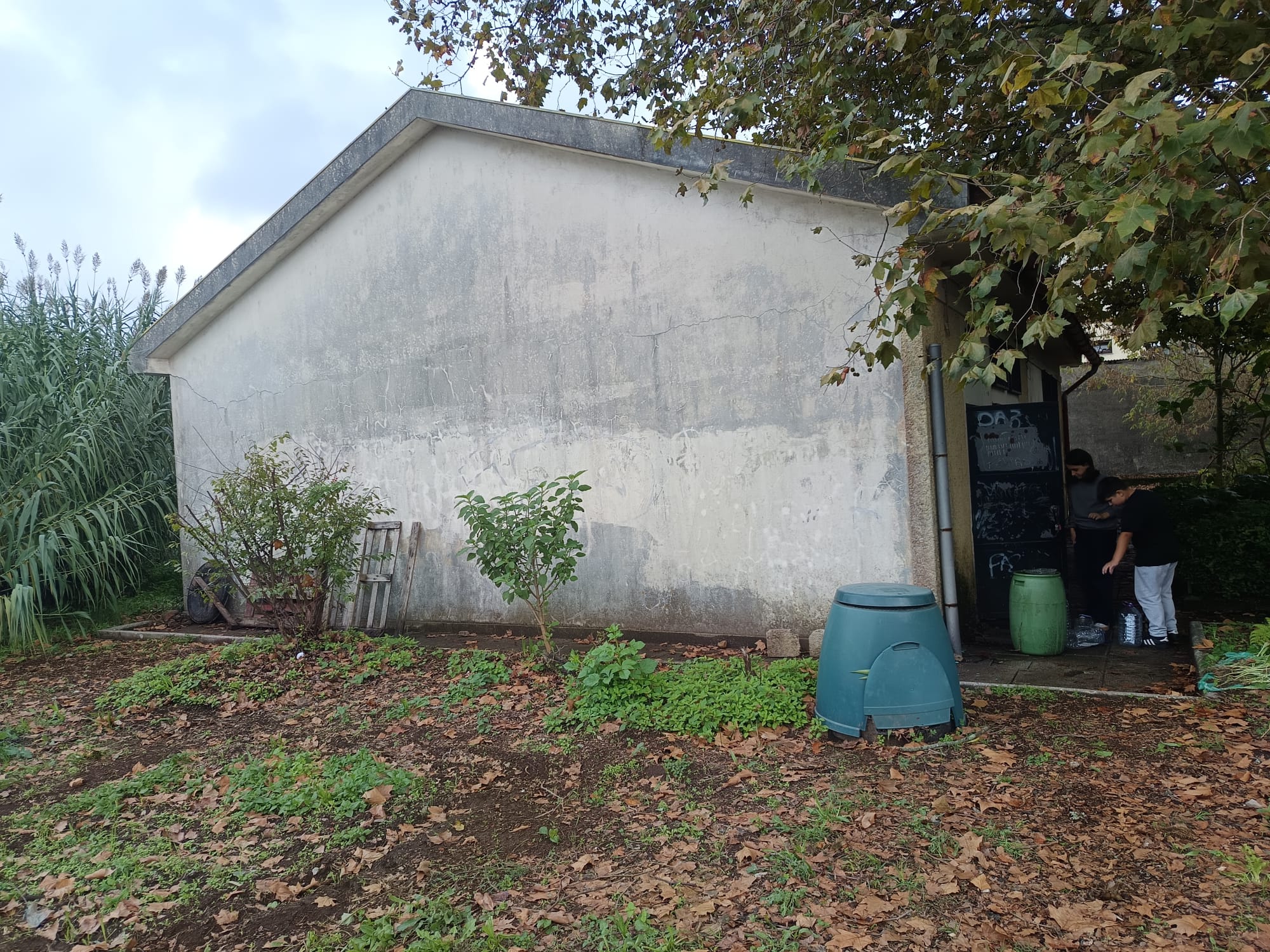 Iniciamos o ano com limpezas. A horta precisou de uns cuidados extra antes de preparar as novas culkturas.