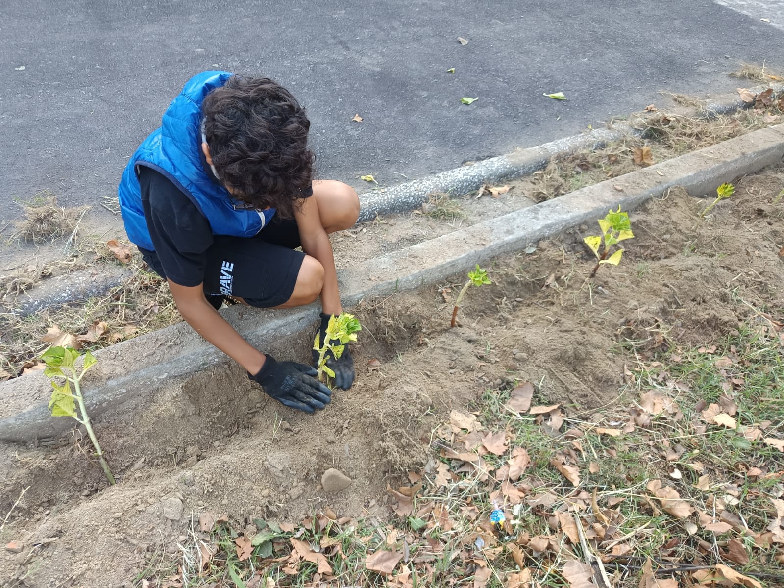 Depois de uma pequena formação na escola com uma professora de Biologia passamos à estacaria.
