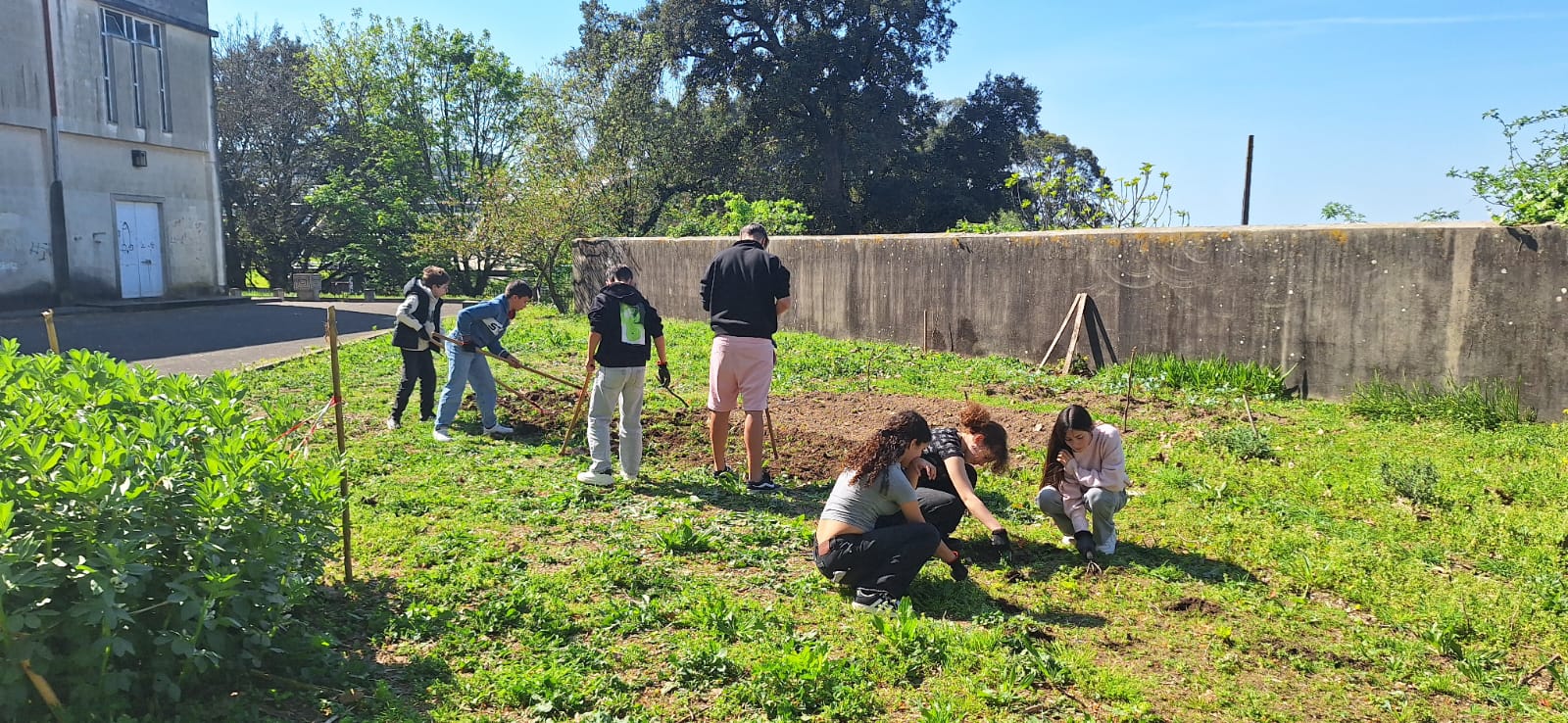 Após a época das chuvas é tempo de limpezas e recuperar as plantas que sobreviveram para replantar e reforçar a terra.