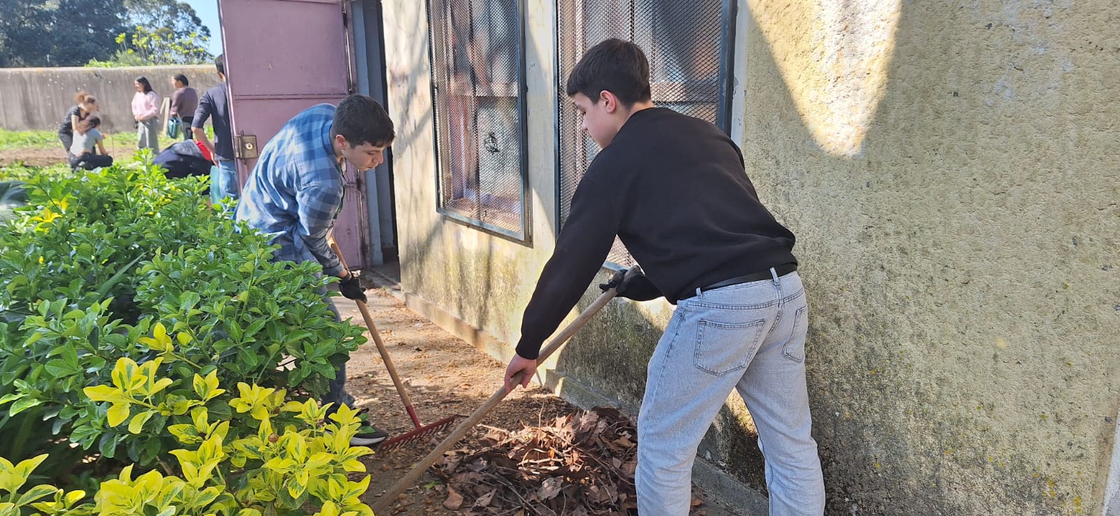 Altura de limpezas e colocação de resíduos no compostor.