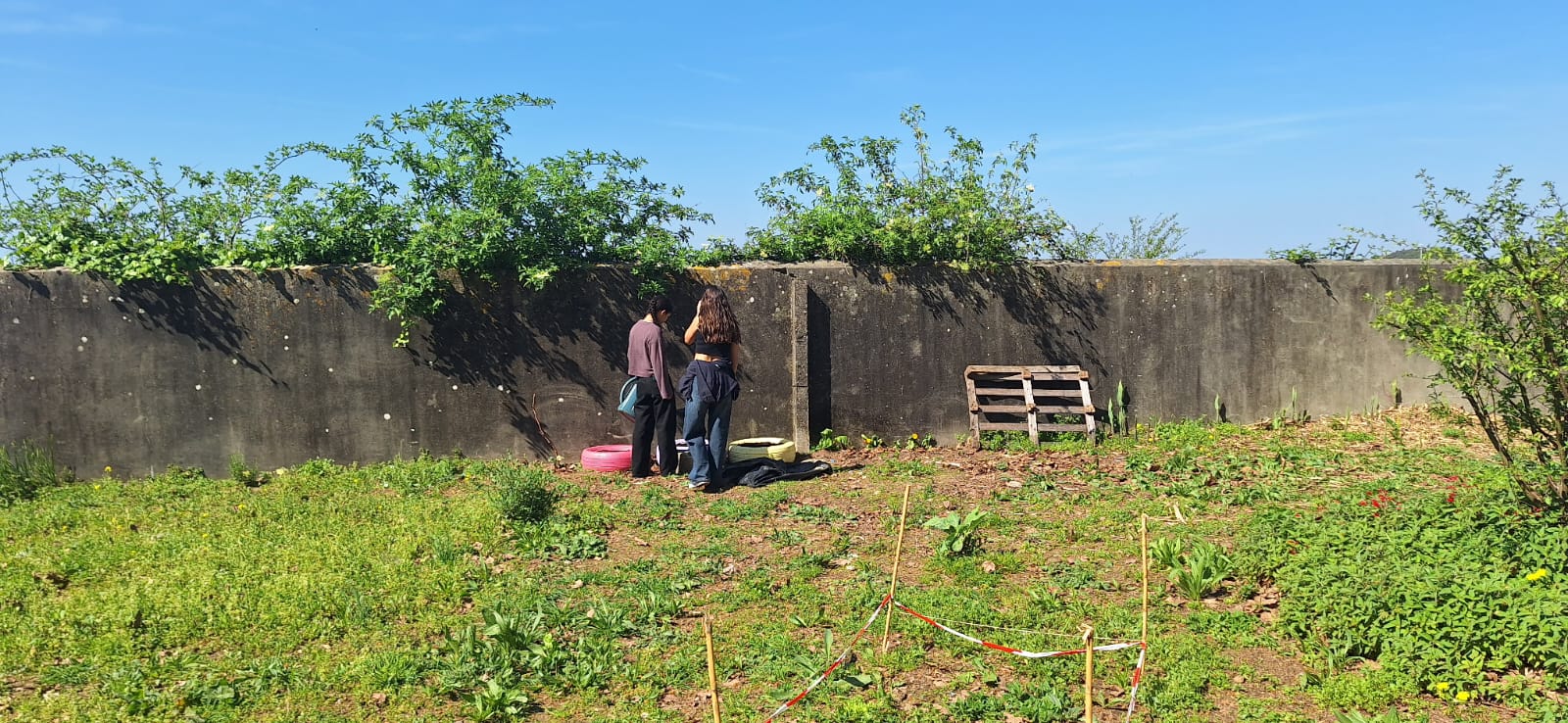 Colocação de pneus pintados com replantação de morangueiros e sementeira de flores.