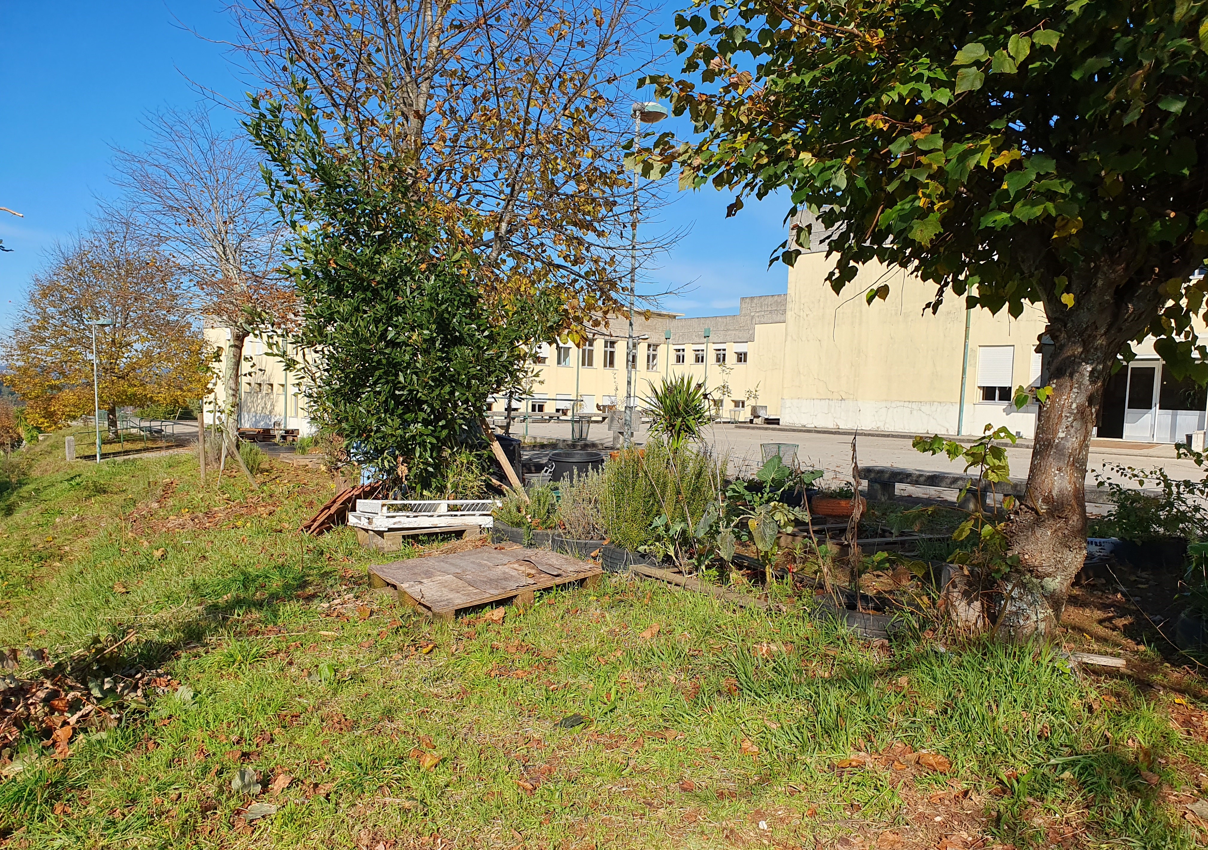 Espaço destinado à ampliação da nossa pequena horta biológica.