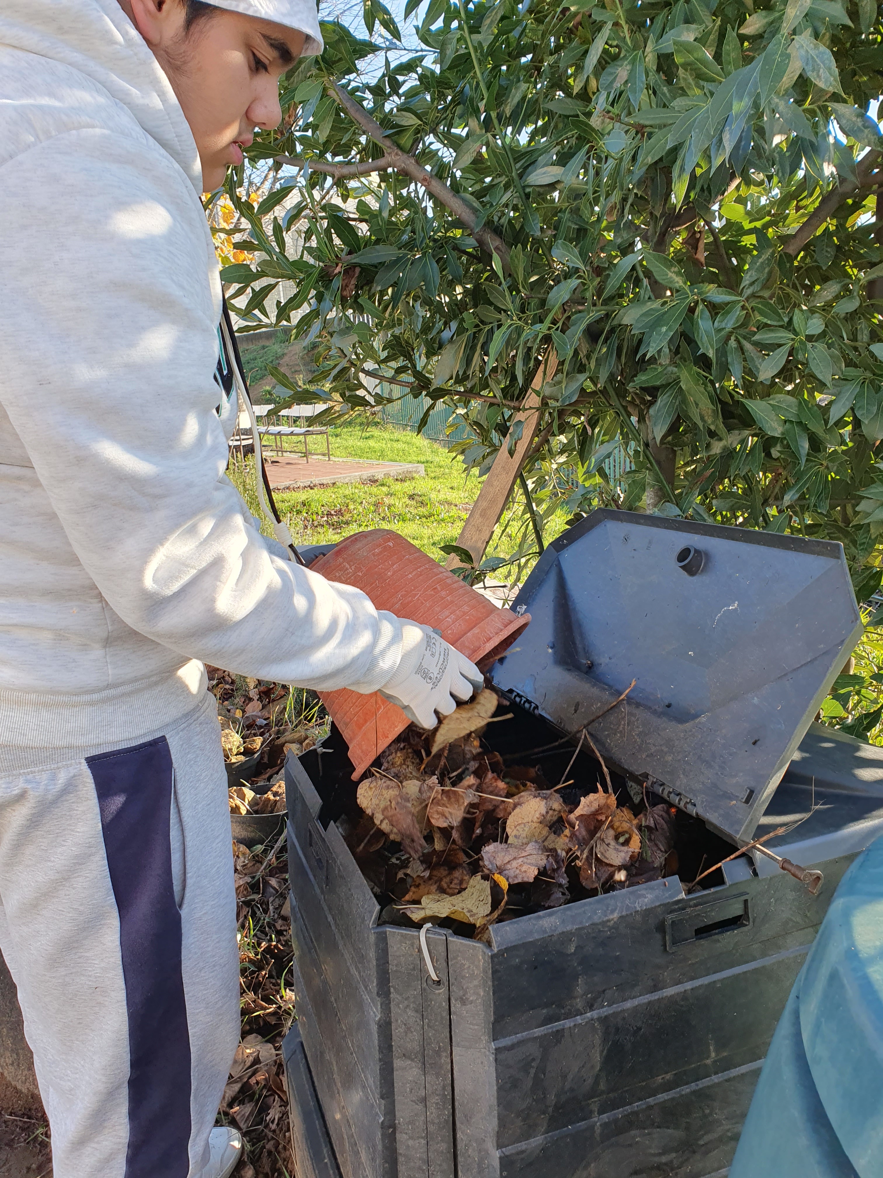 Os alunos colocam as folhas secas no compostor.