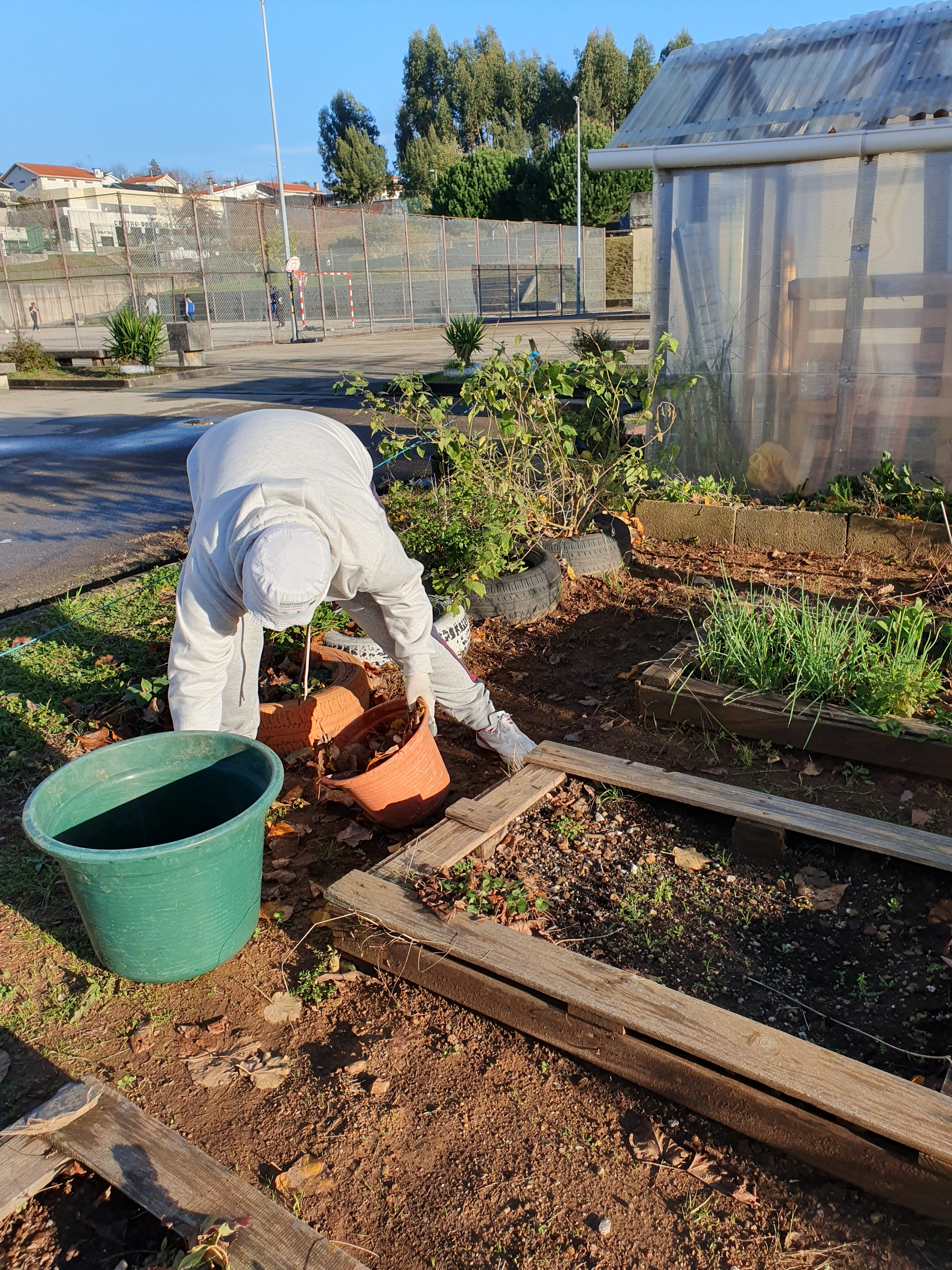 Trabalhos de limpeza na horta biológica.