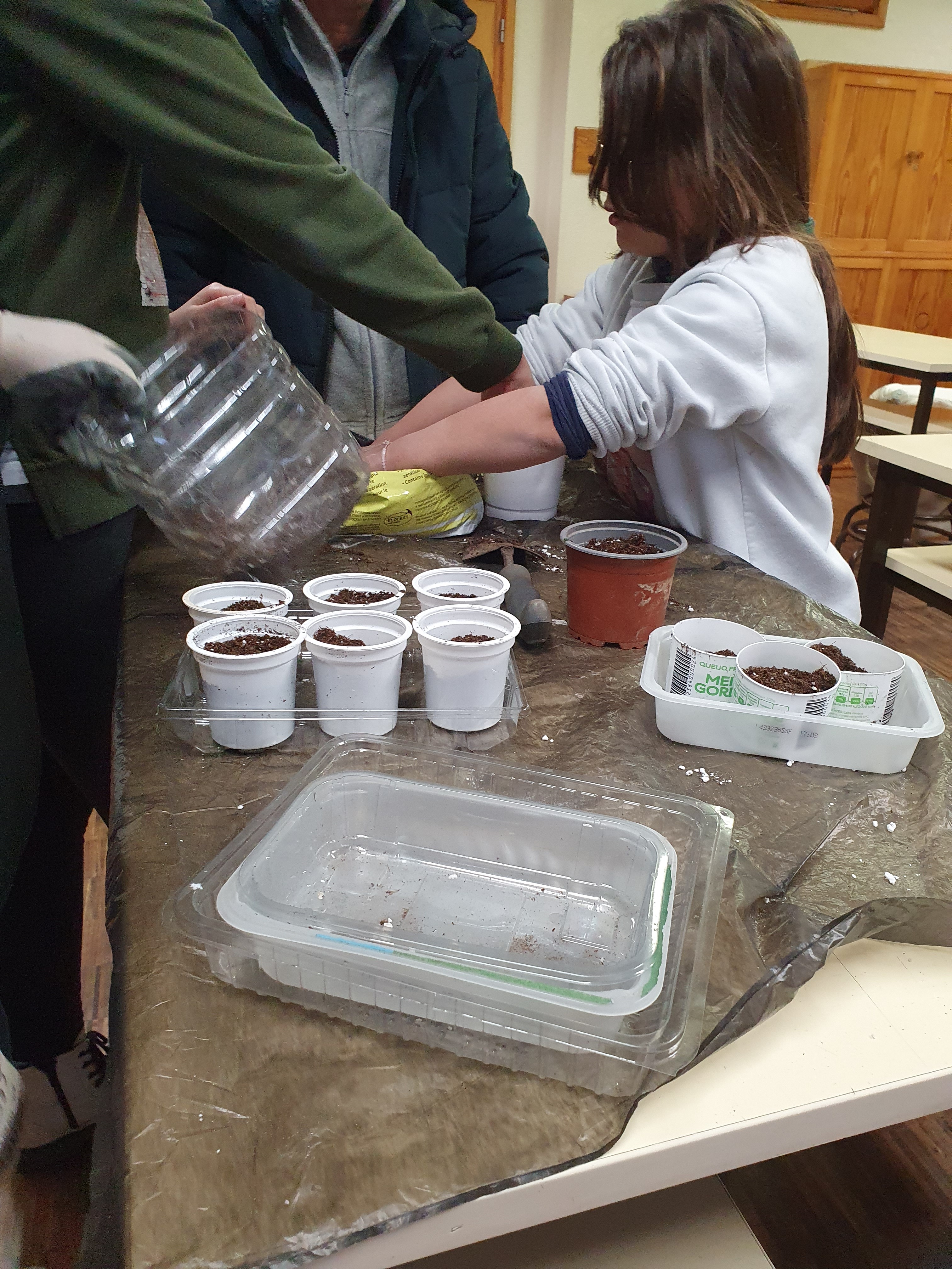 Sementeira de hortícolas, ervas aromáticas e flores, nos dias de chuva.