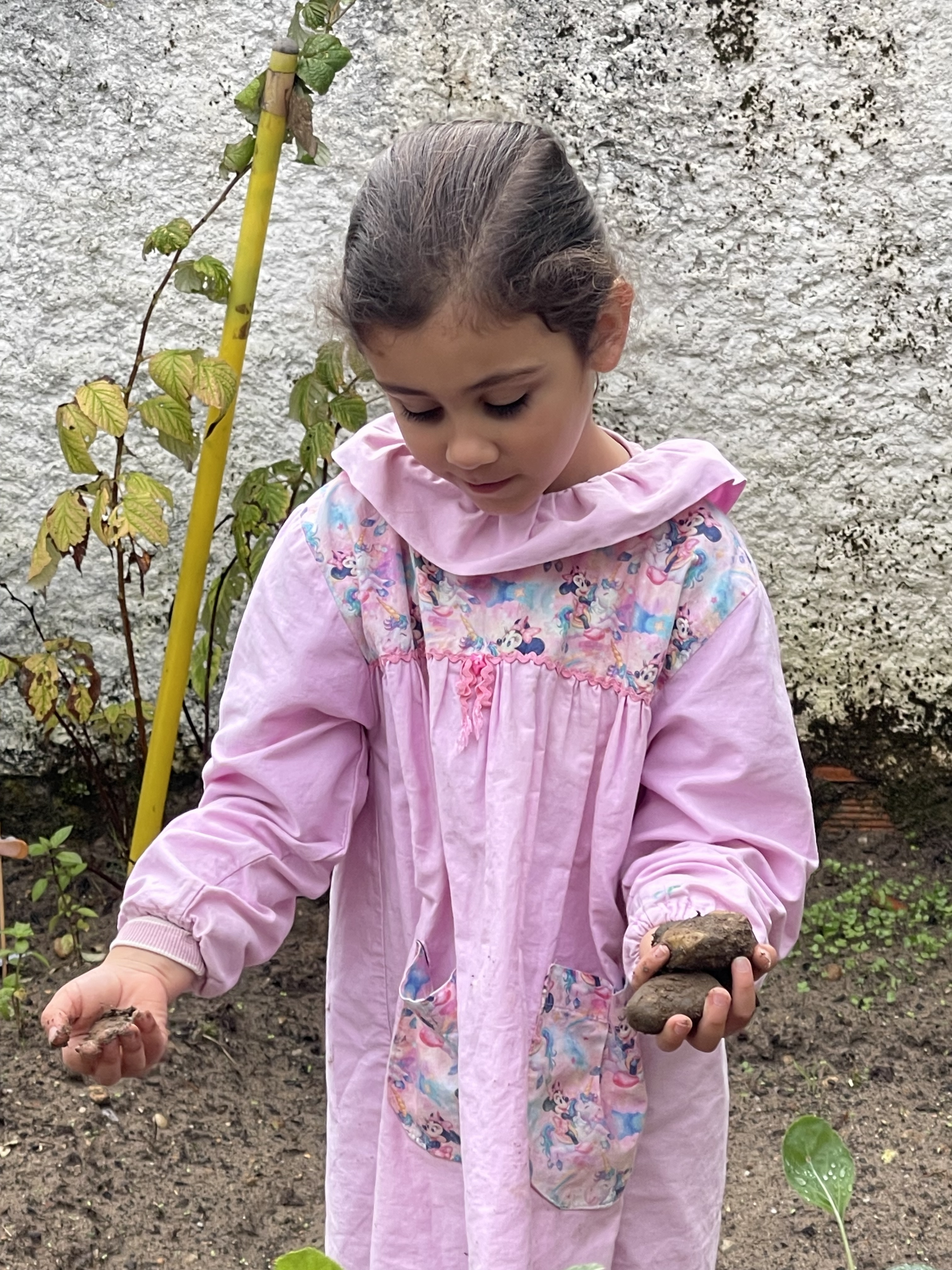Depois da Junta de Freguesia ter ido lavrar o espaço as crianças retiraram as multiplas pedras que ficaram-