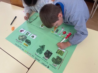 Fizemos uma maqueta de como iria ficar a nossa hota separando por canteiros de acordo com a categoria das sementes/plantas.