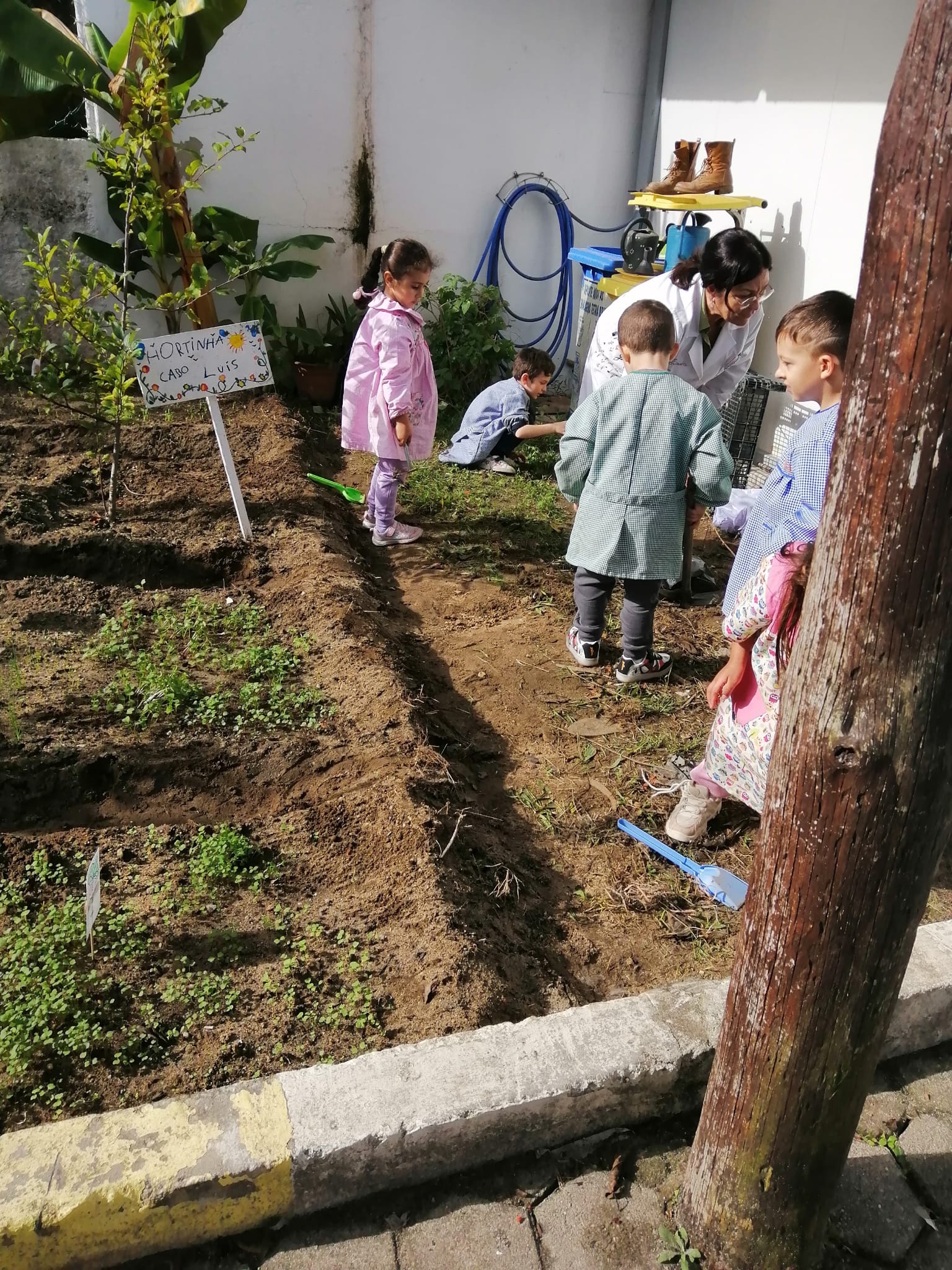 As ervas daninhas eram muitas!  todos ajudaram e colocaram no compustor: na natureza nada se perde tudo se transforma!