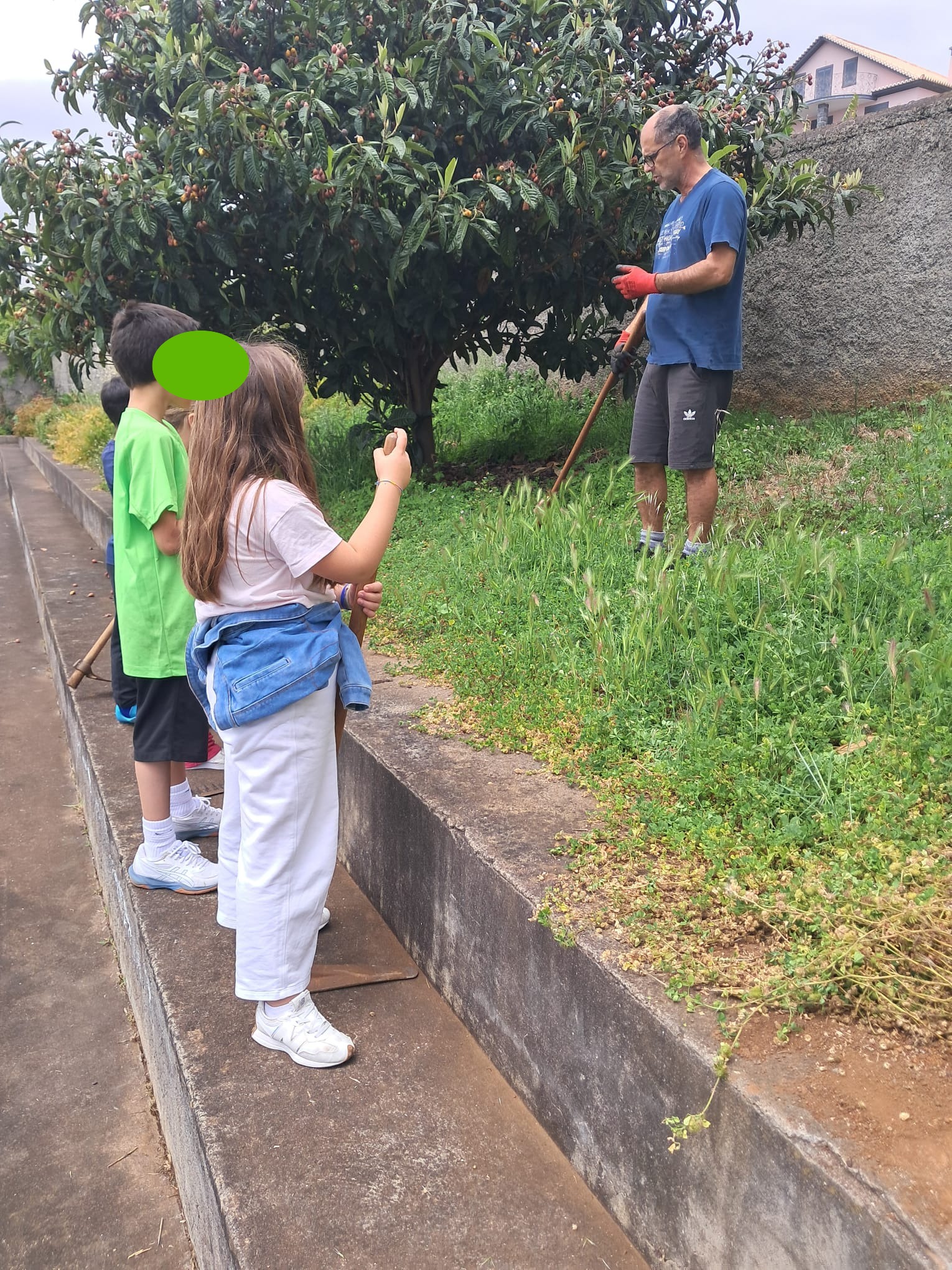 Preparação do espaço a utilizar para a Horta