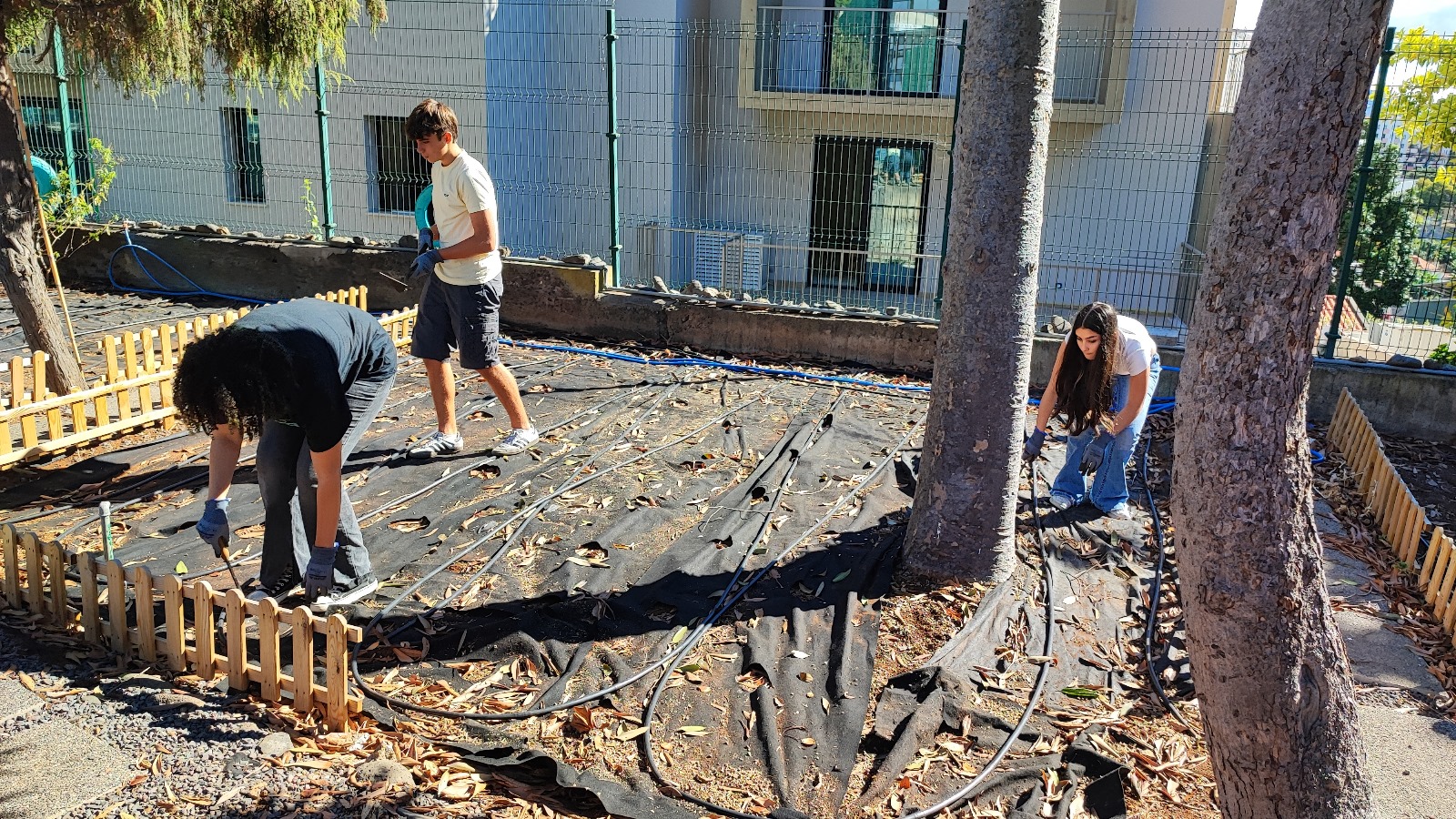 Limpeza da horta biológica.