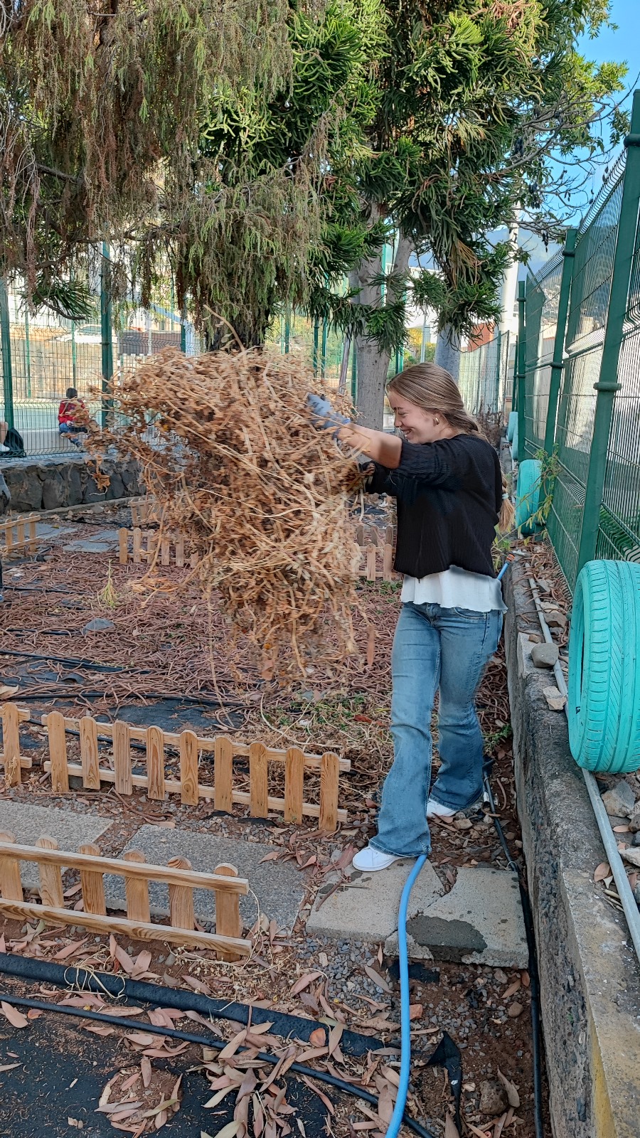 Limpeza da horta biológica.