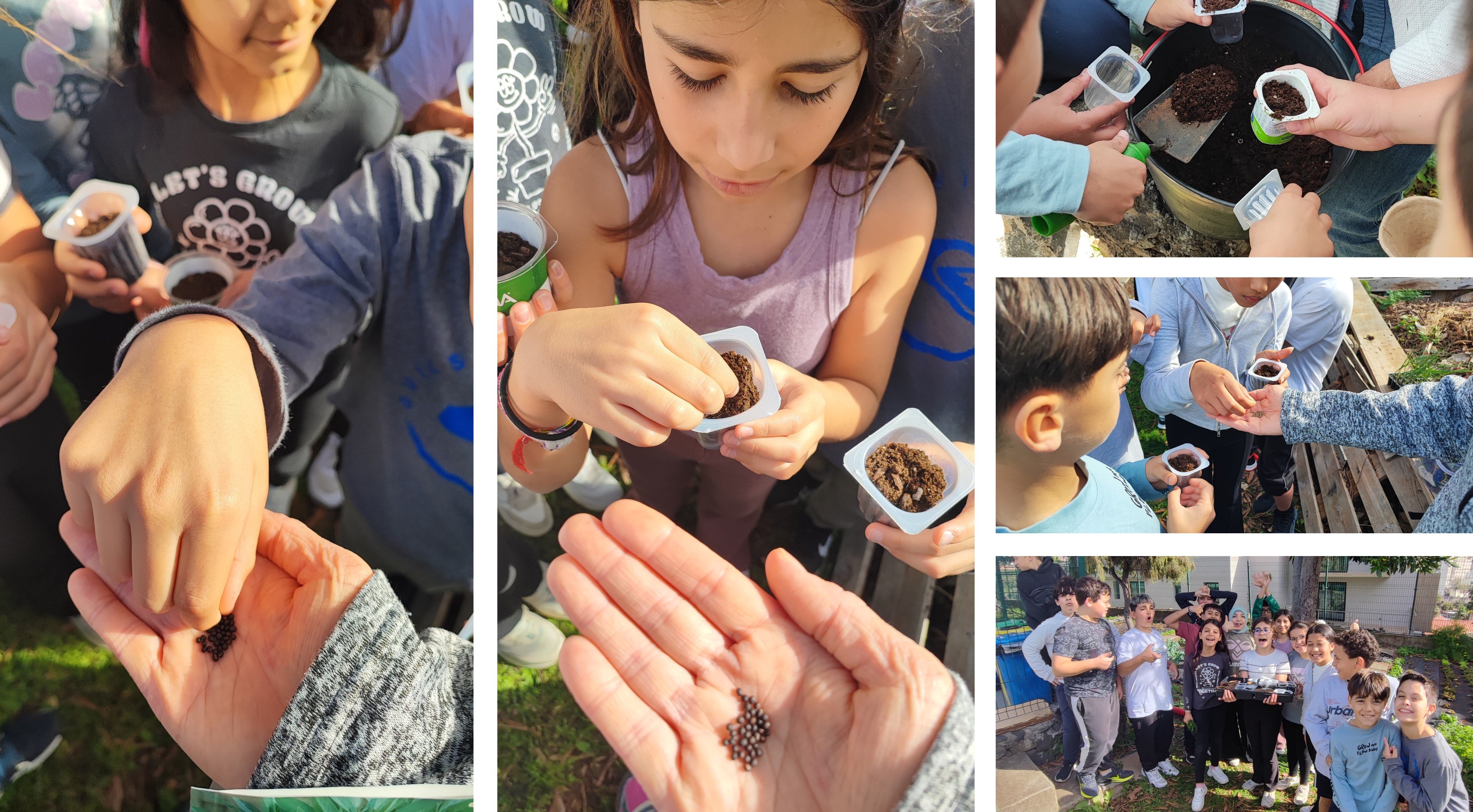 Atividade - Semear ervas aromáticas, com uma turma do 5º ano, em que cada aluno escolheu a variedade a semear. Para além da atividade de plantação, os alunos trabalharam a temática das ervas aromáticas e as suas funções na disciplina de Ciências Naturais.