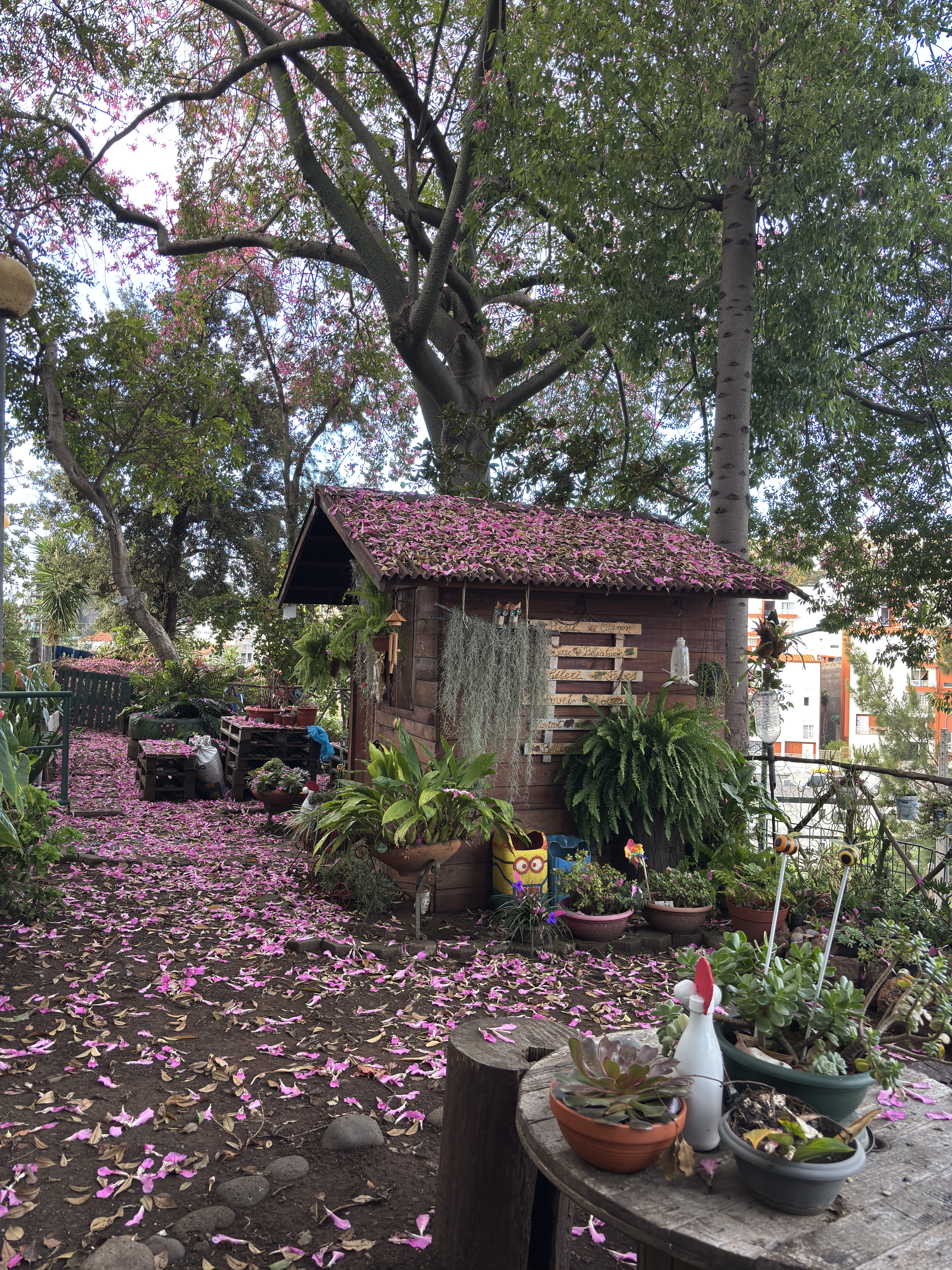 A casa de apoio da bio horta.