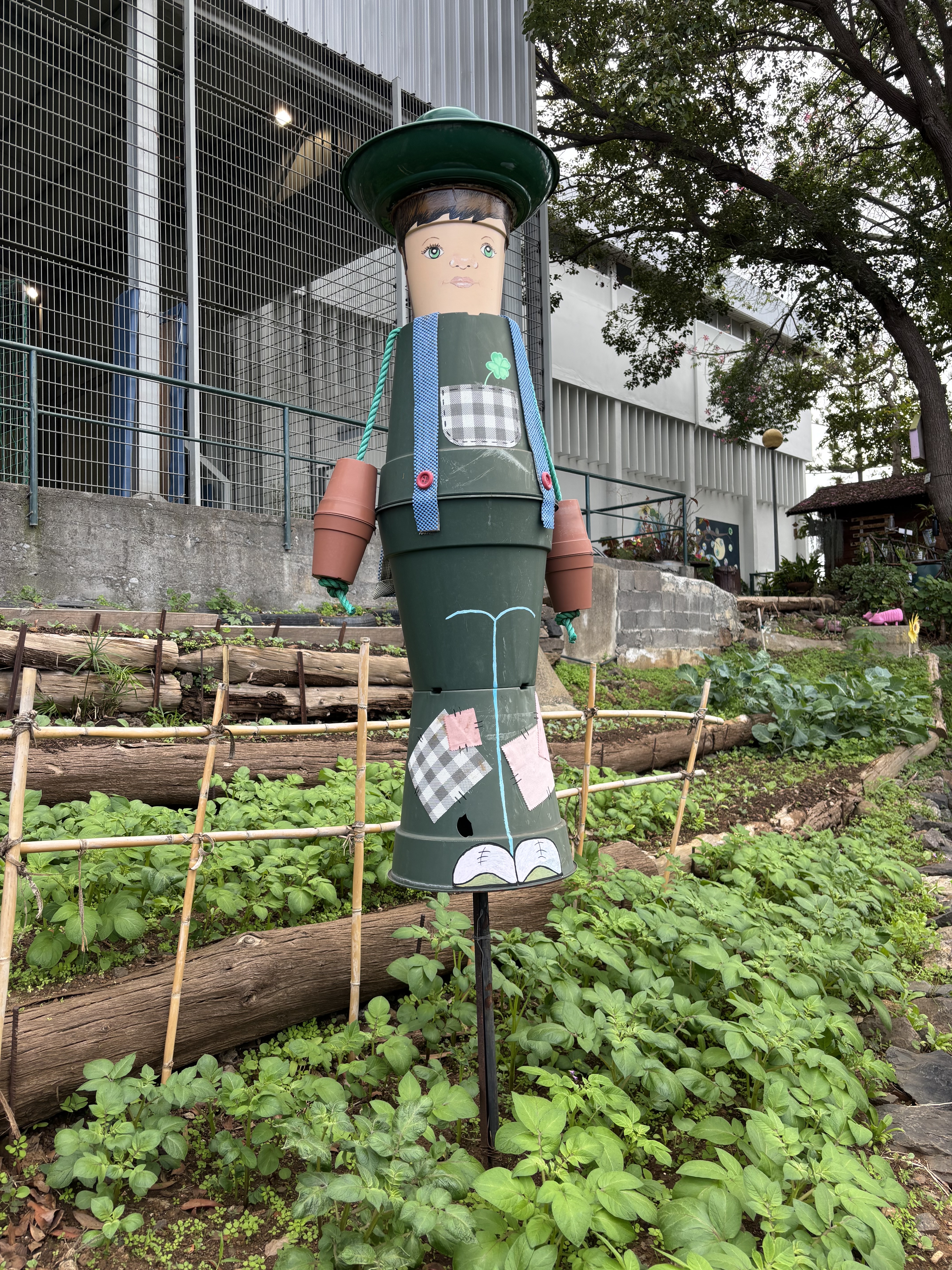 Atento às semilhas.