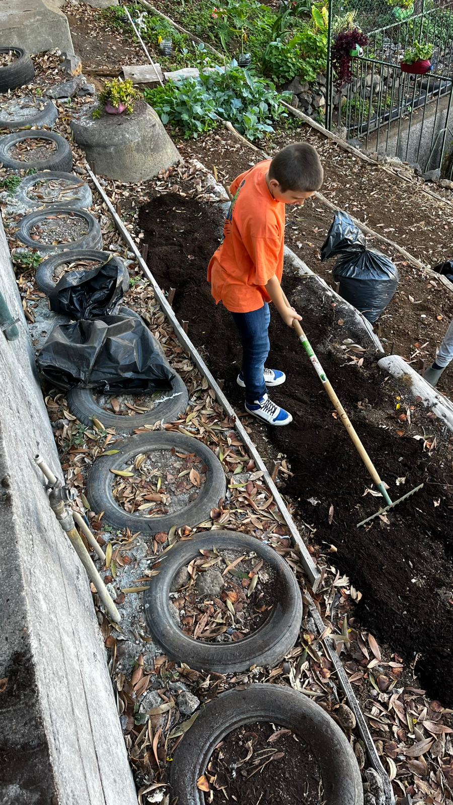 Adubando a terra com o composto produzido.