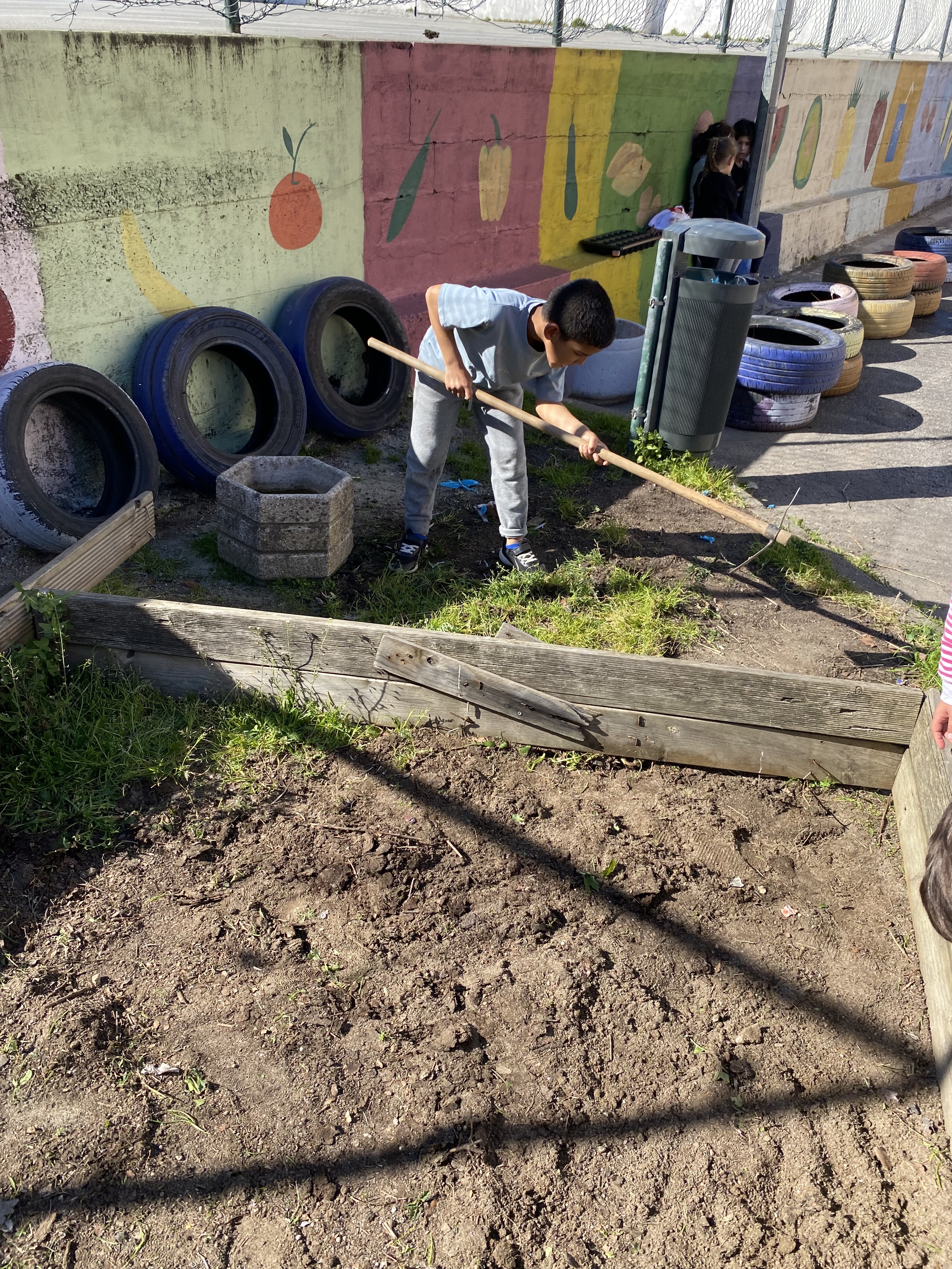 Preparação do terreno. remoção de ervas daninhas e mobilização de solos.
