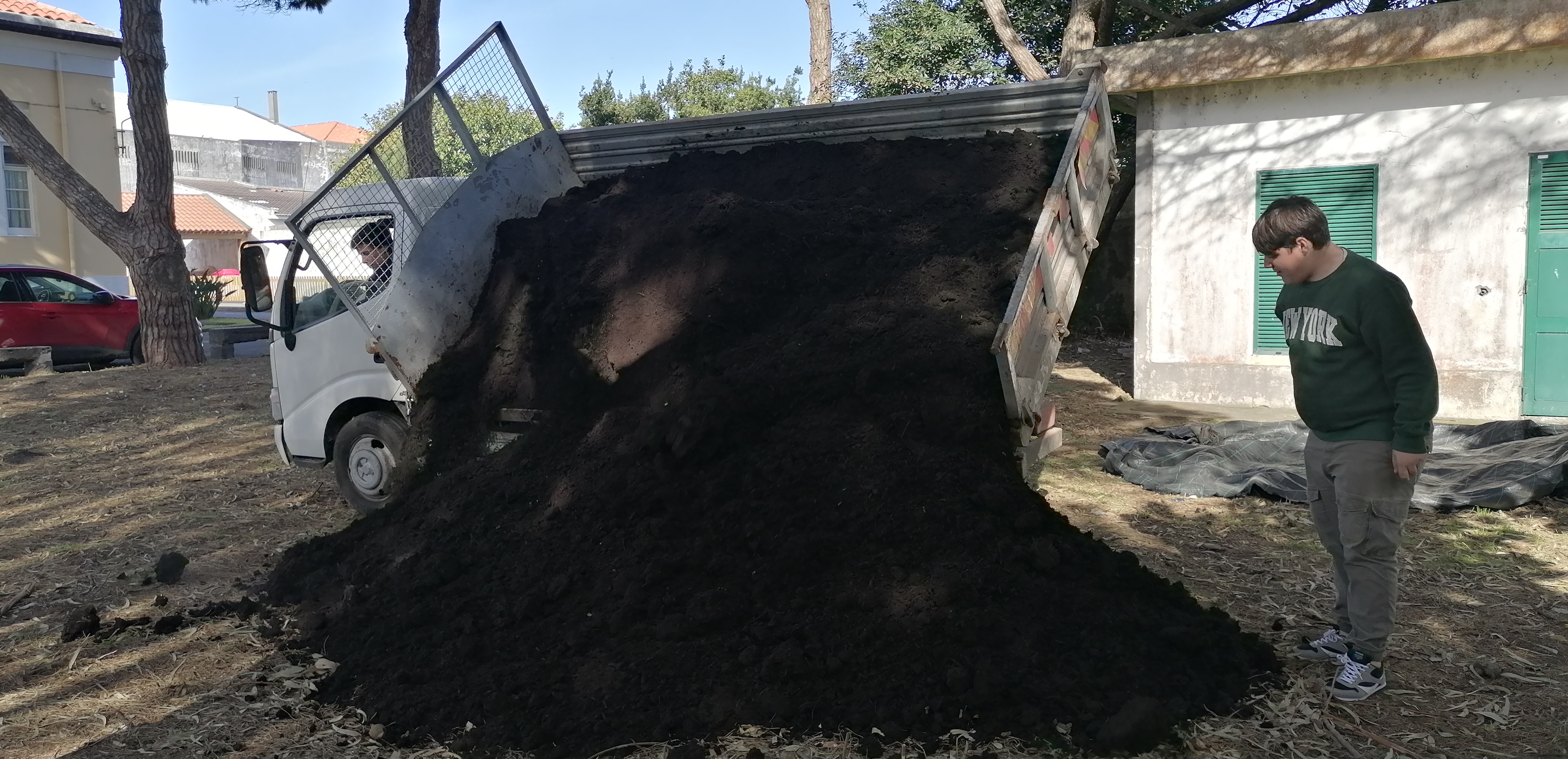 Composto para colocar nos canteiros