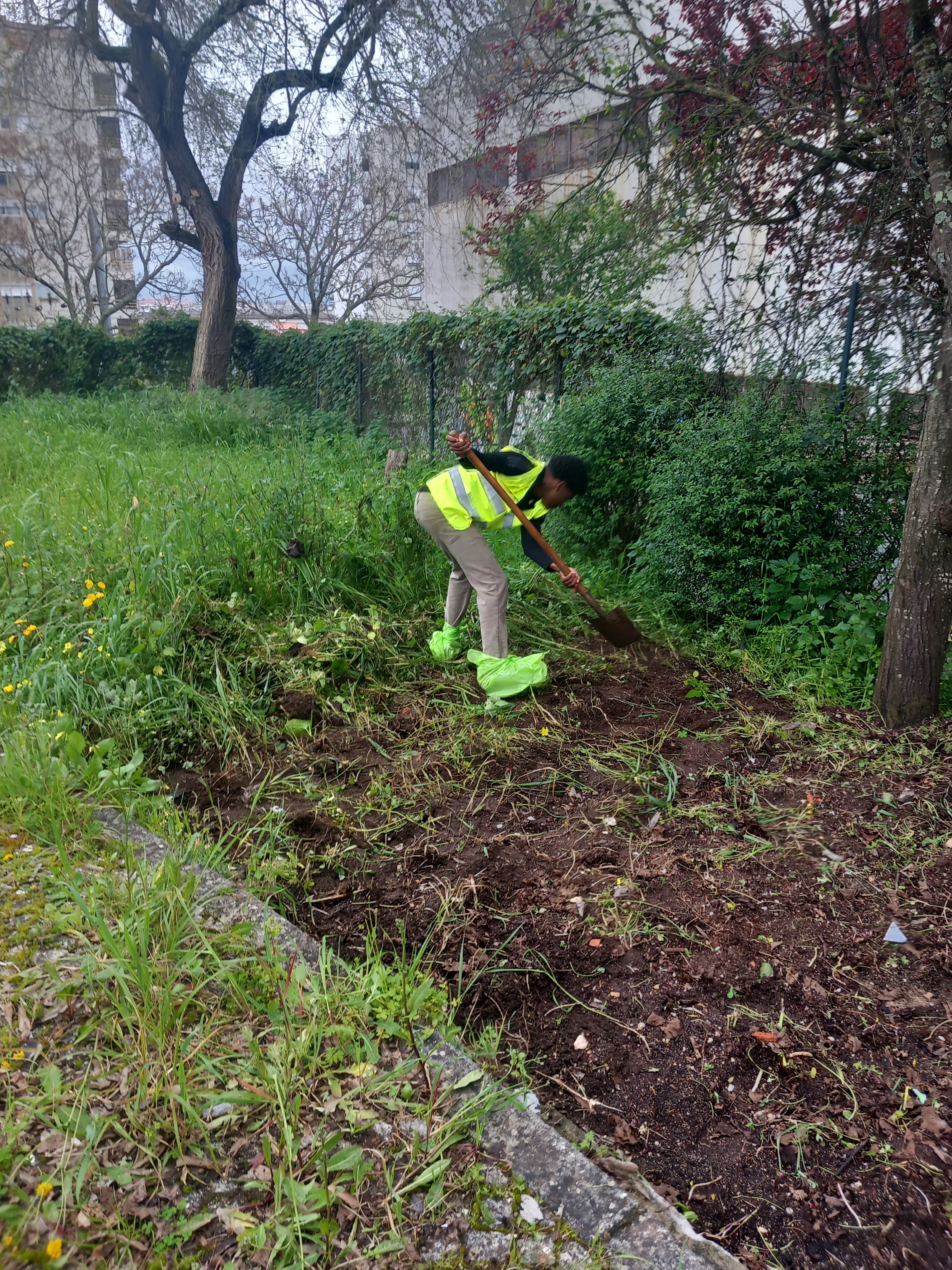 Limpeza do terreno