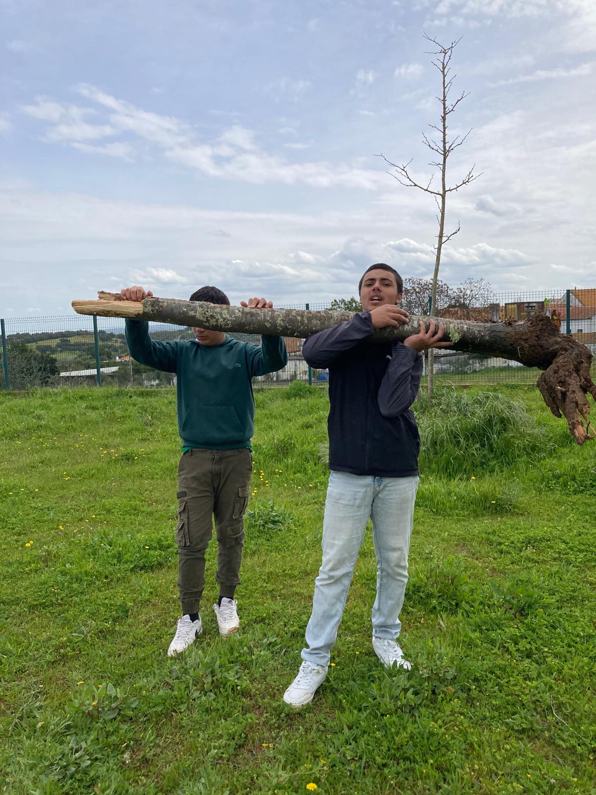 Limpeza e remoção de troncos mortos