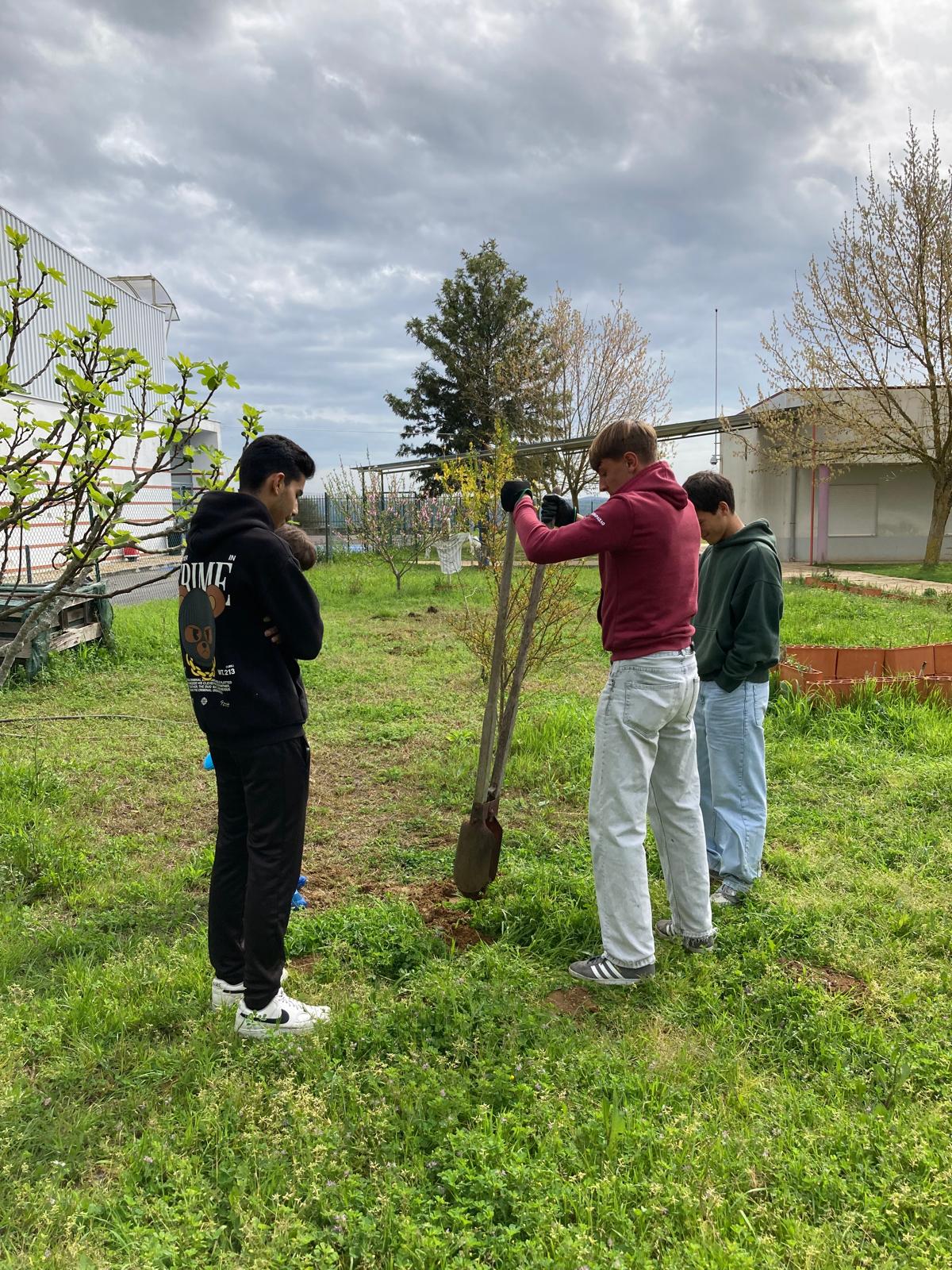 Preparação de terra para a plantação de Árvores