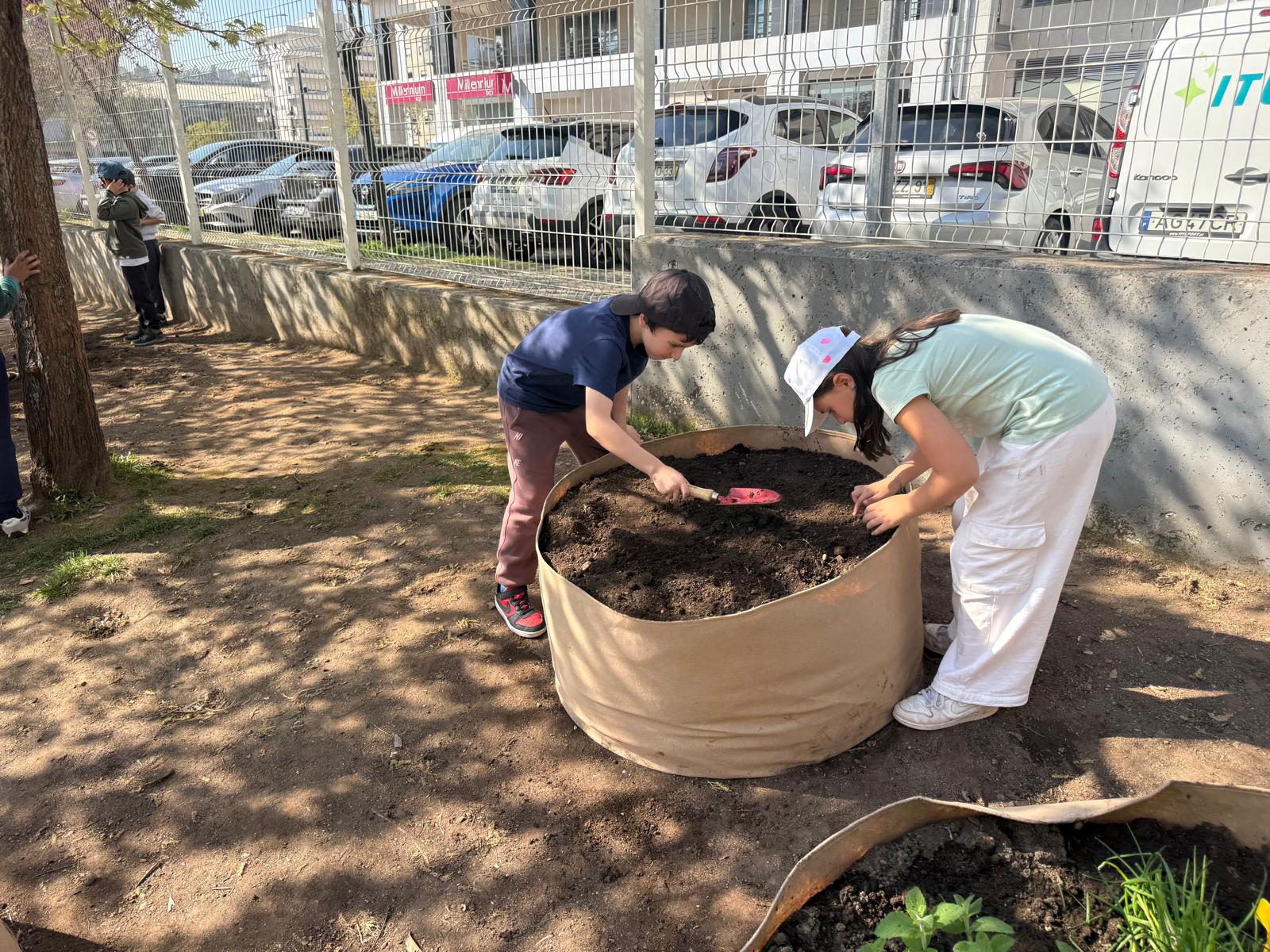 Tratar da terra para plantar